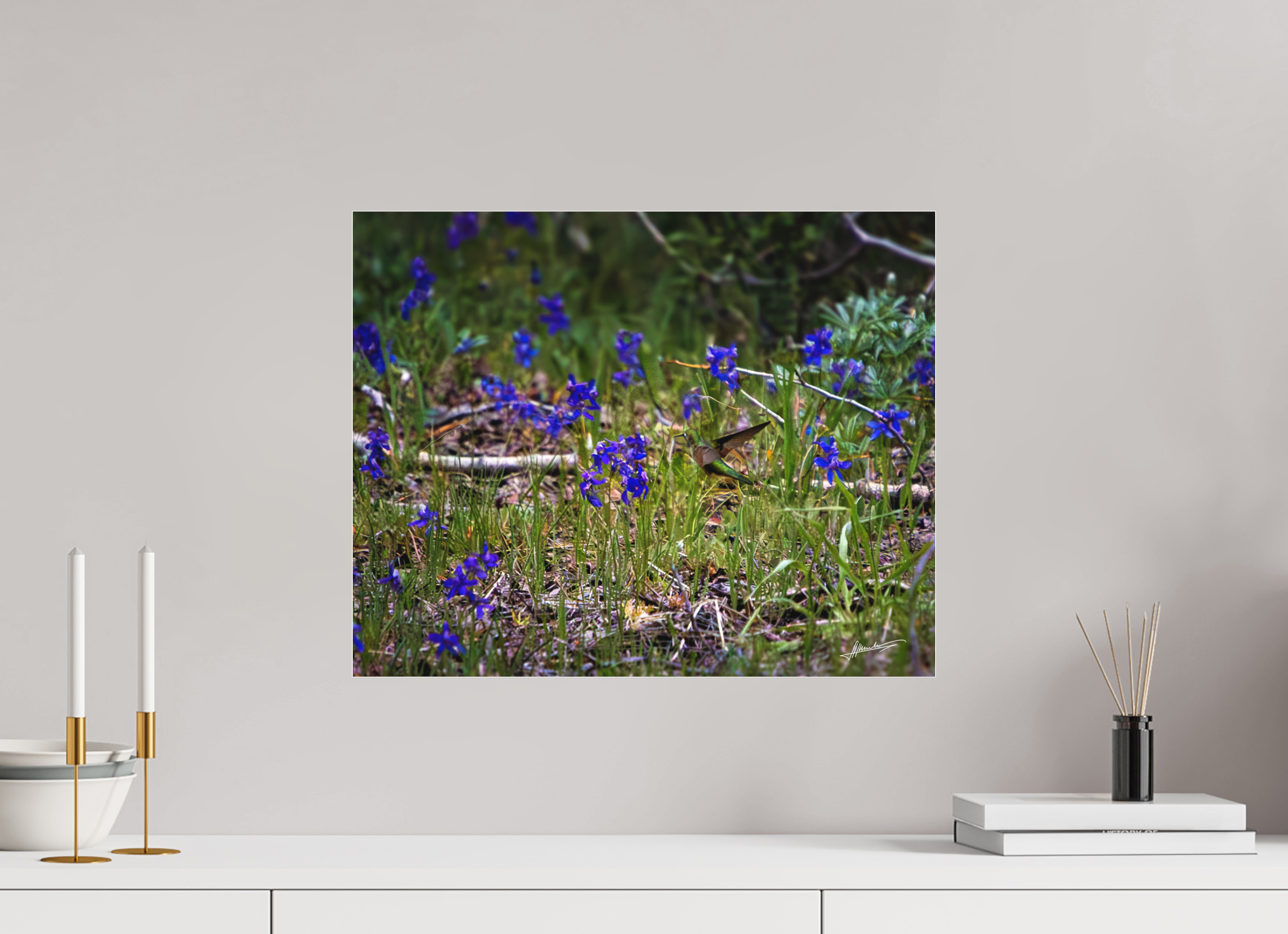 20 x 16″, Fine Pigment Under Acrylic Feeding Hummingbird