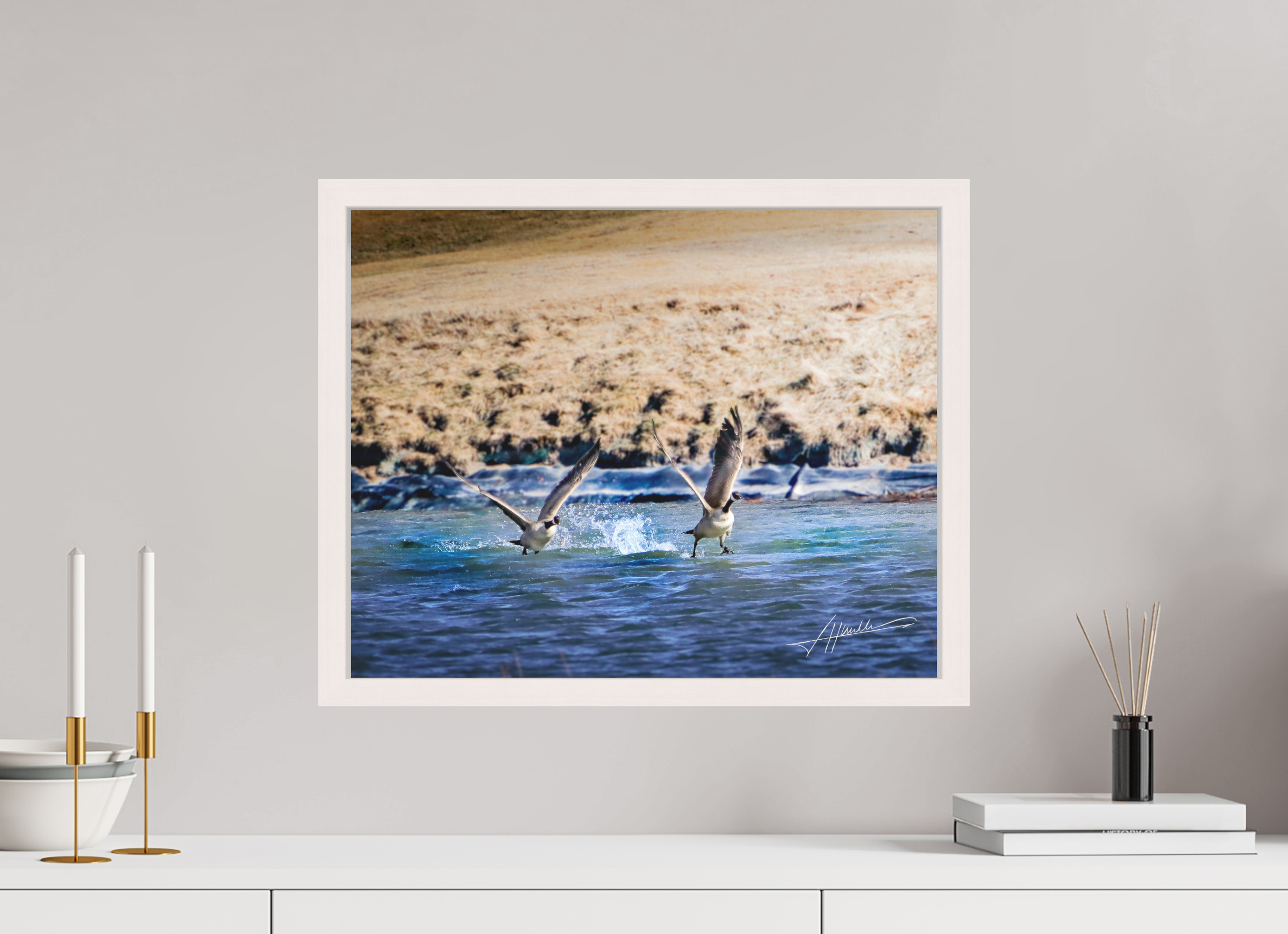 20 x 16″, Shadow Box Frame Geese Taking Flight