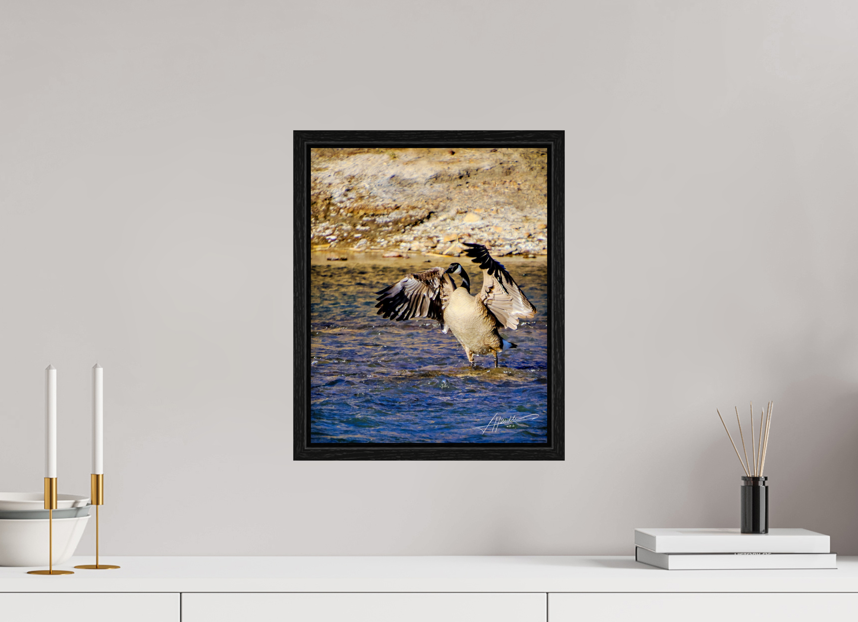 12 x 15″, Floater Frame The Bathing Goose