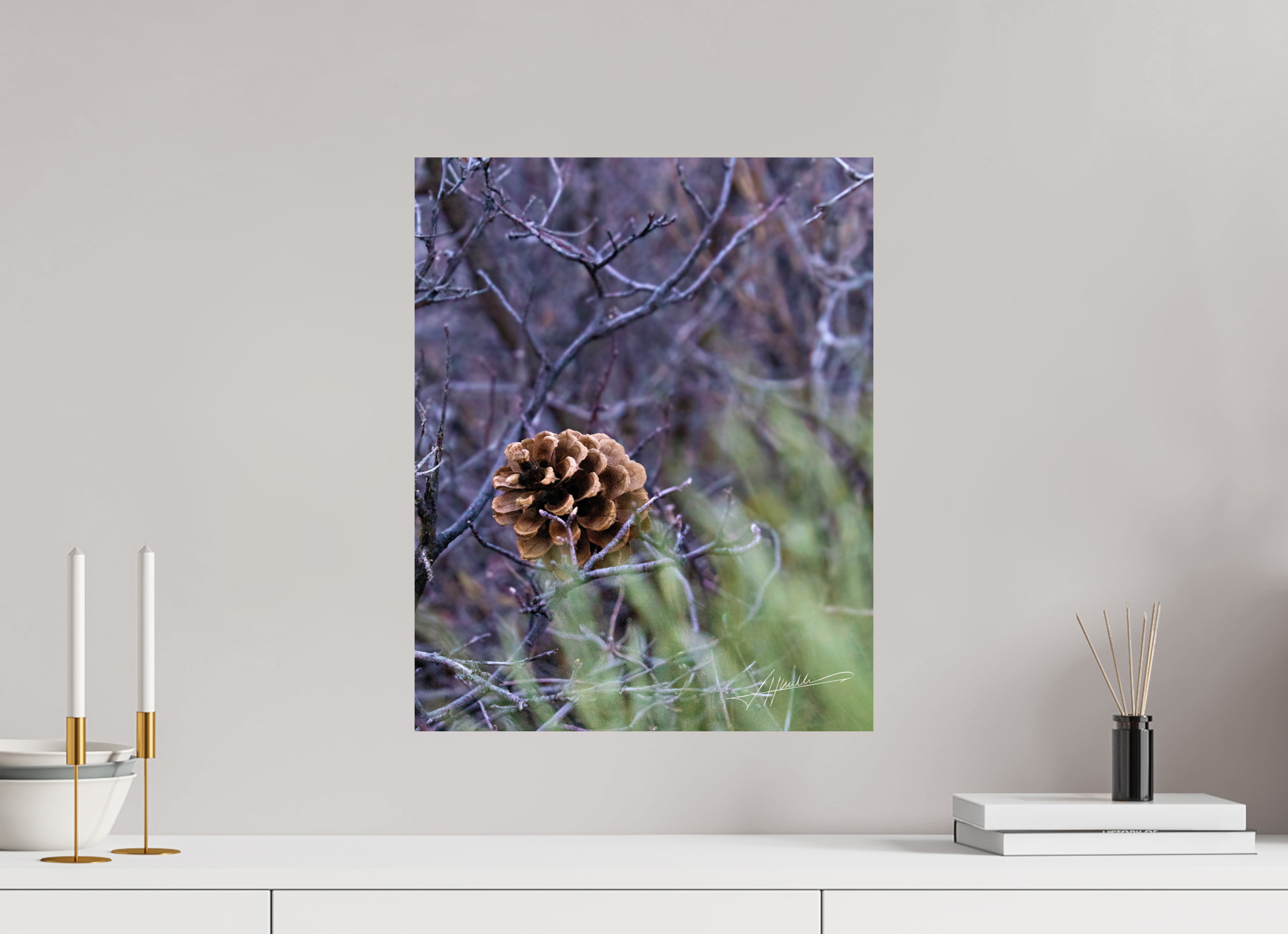 16 x 20″, Photo Print On Fujiflex High Gloss Mountain Pinecone