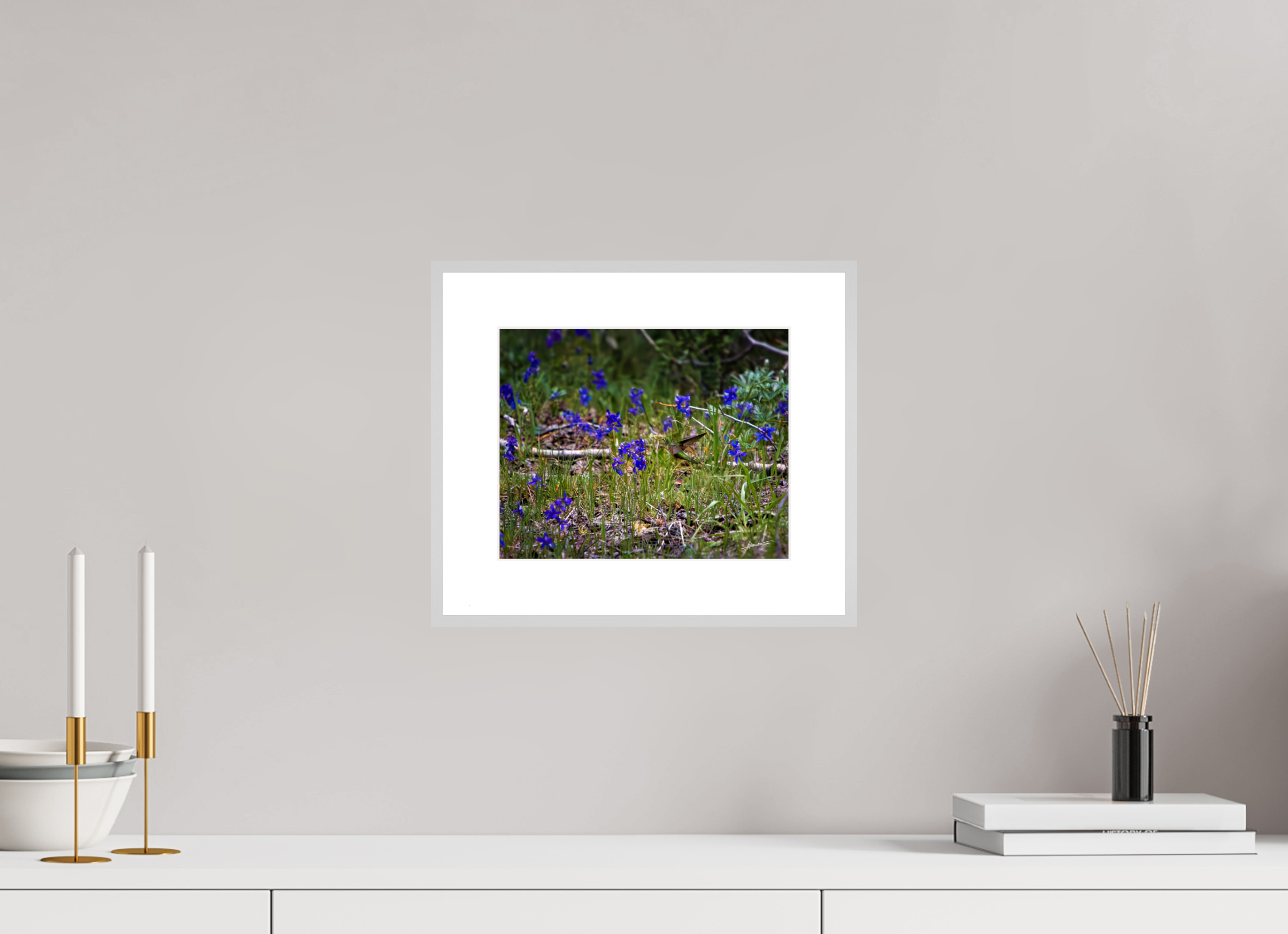 10 x 8″, Changeable Magnetic Frame Feeding Hummingbird