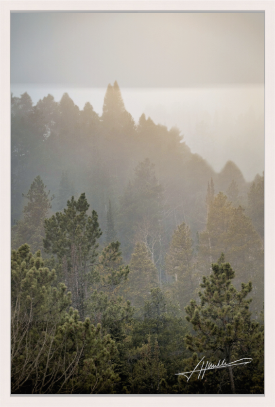 Main image Glowing Mountain Fog
