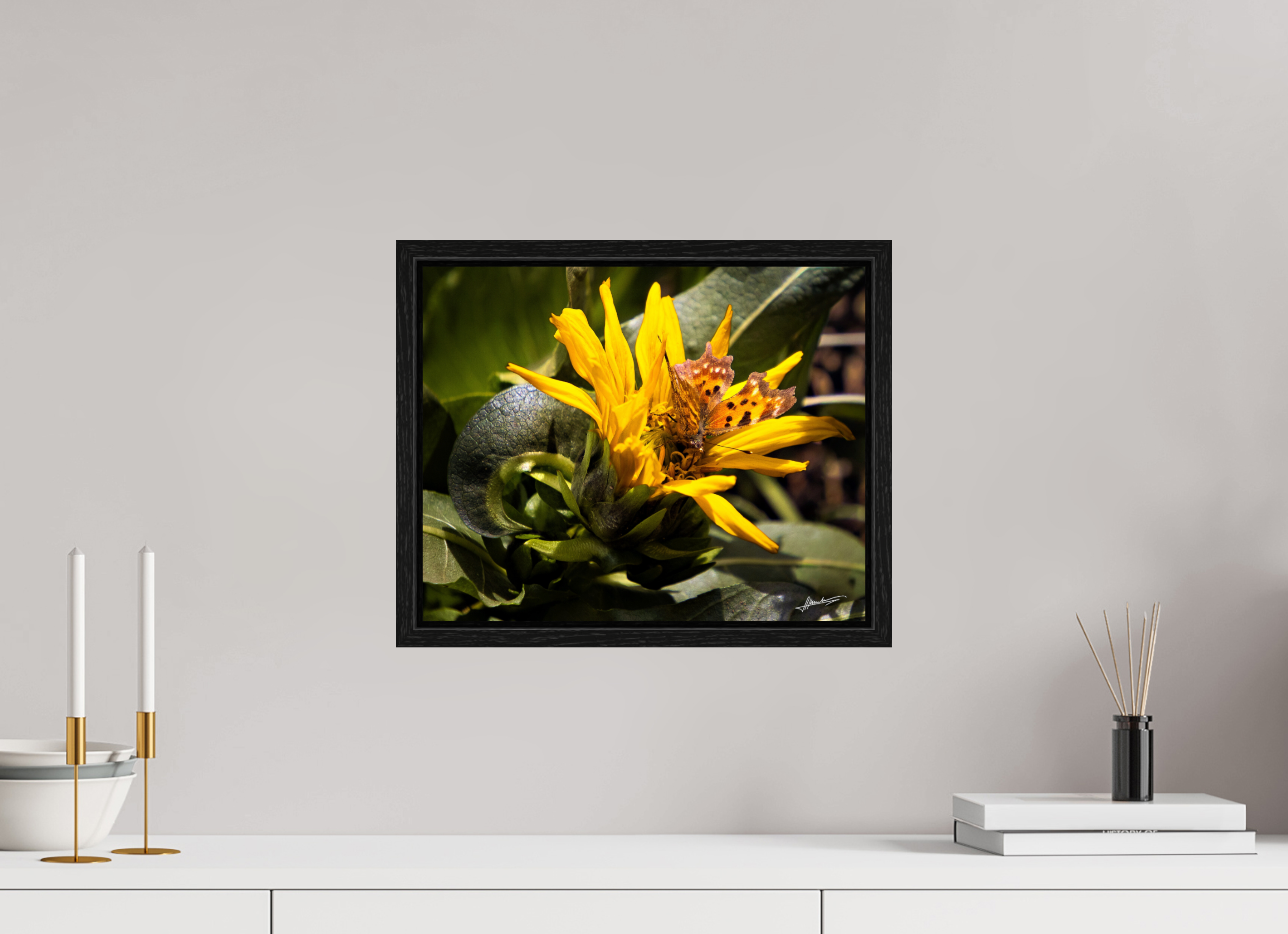 15 x 12″, Floater Frame Busy Butterfly