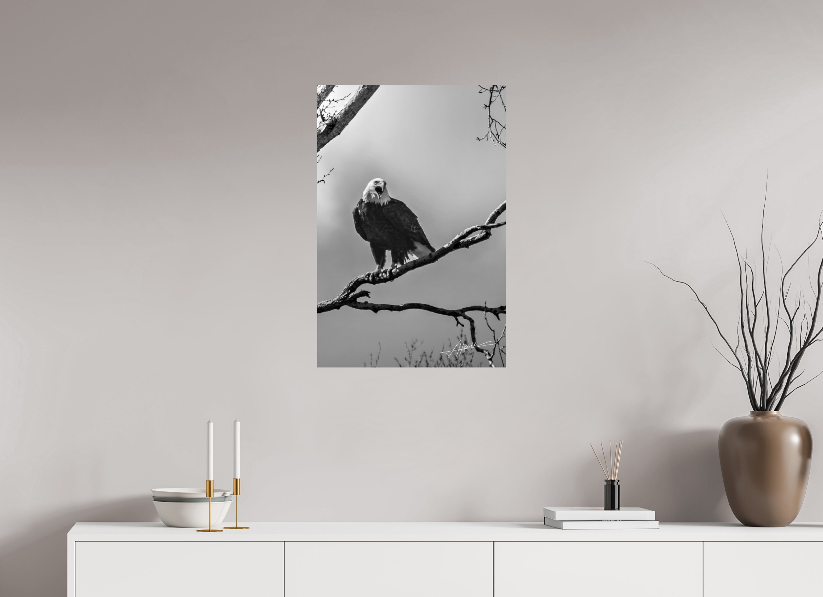 20 x 30″, Photo Print On Ilford Baryta Paper The Eagle's Call
