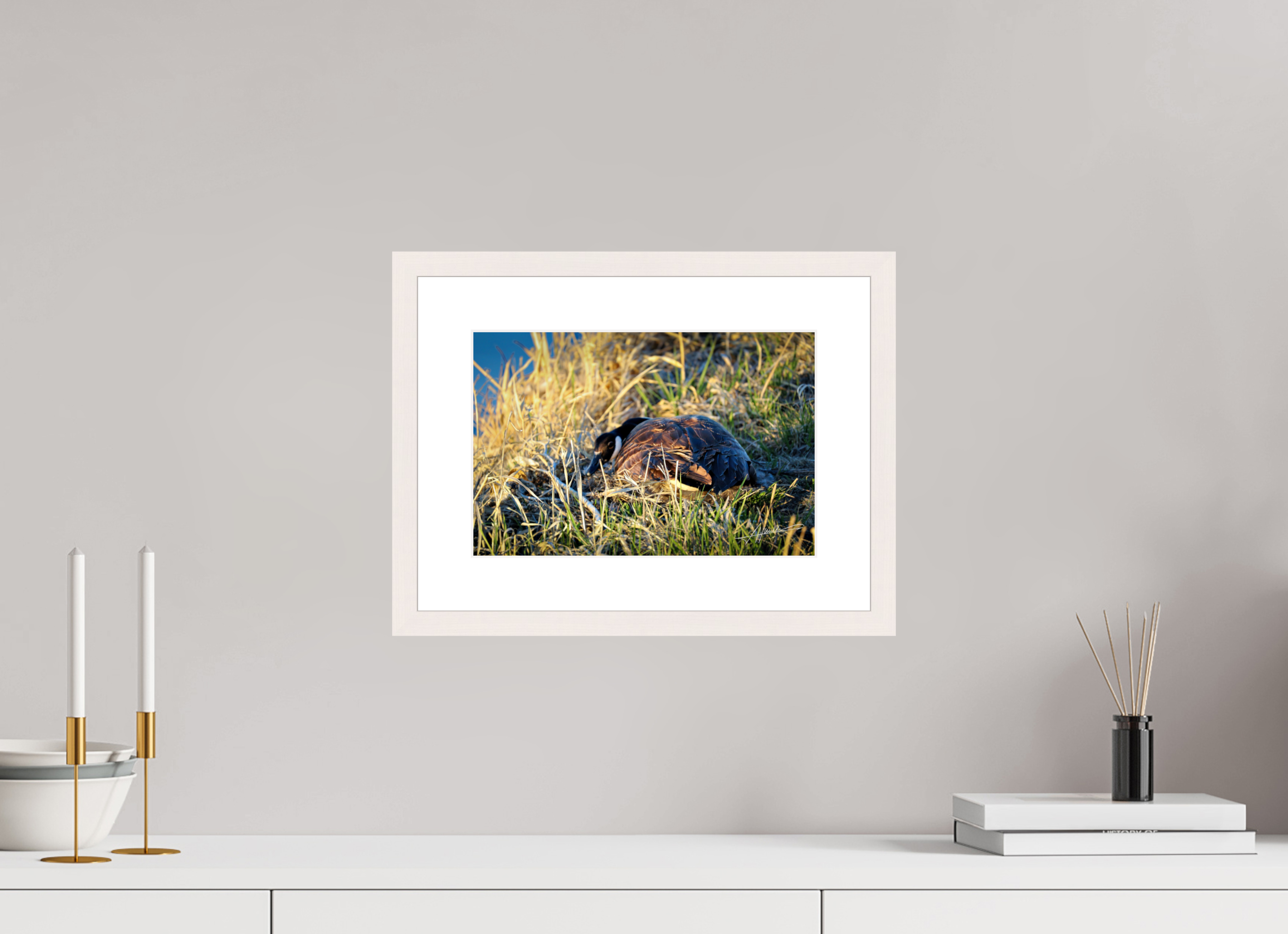 12 x 8″, Solid Wood Frame with Passe-partout New Nester