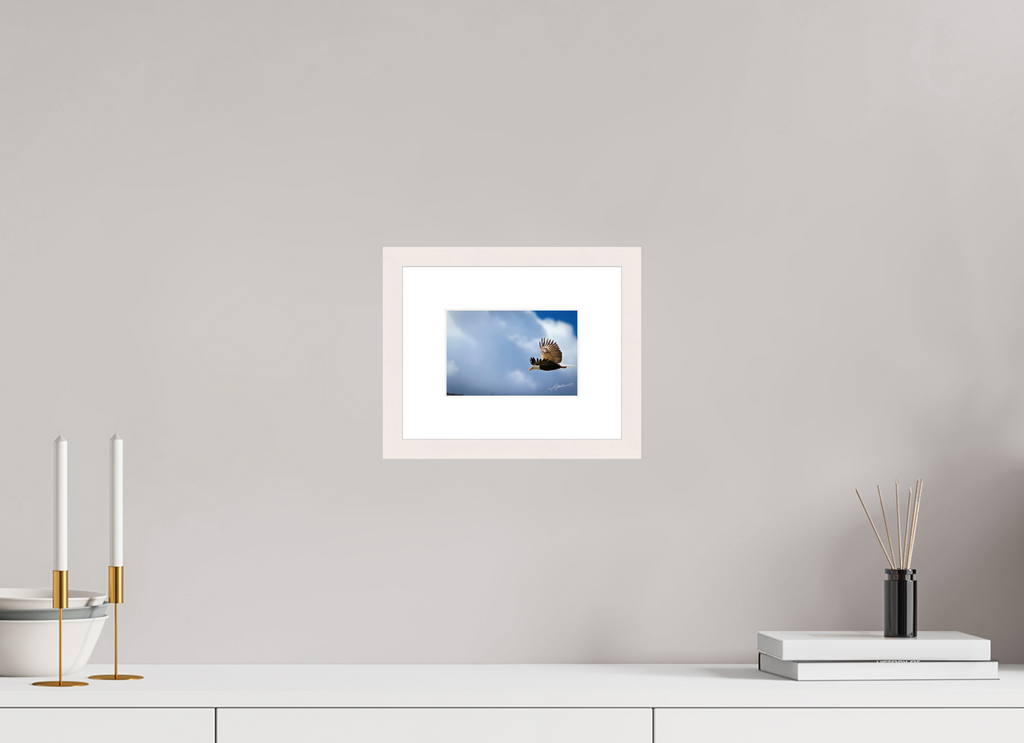6 x 4″, Solid Wood Frame with Passe-partout Bald Eagle Flying