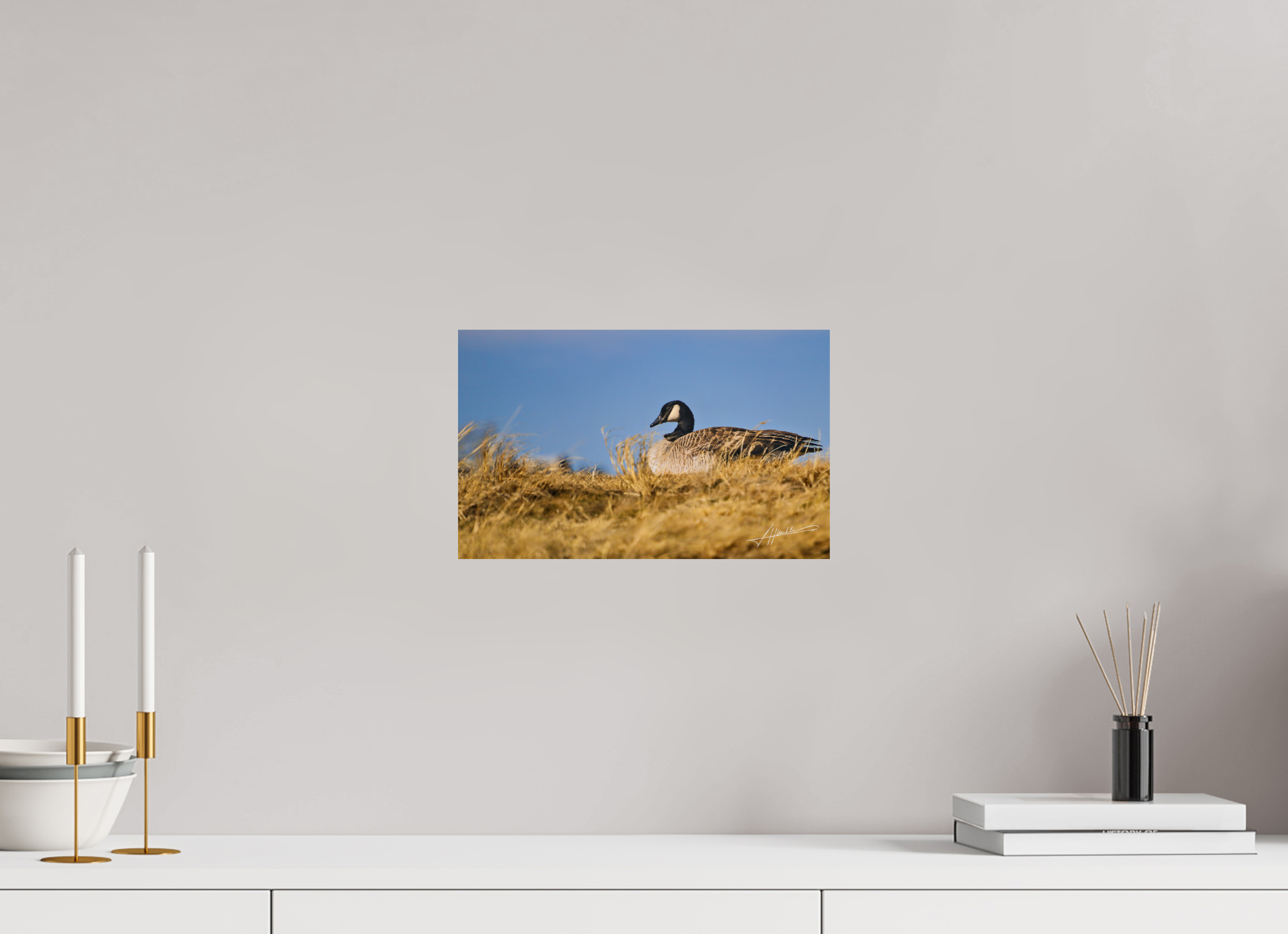 13 x 8″, Fine Art Print The Nesting Goose