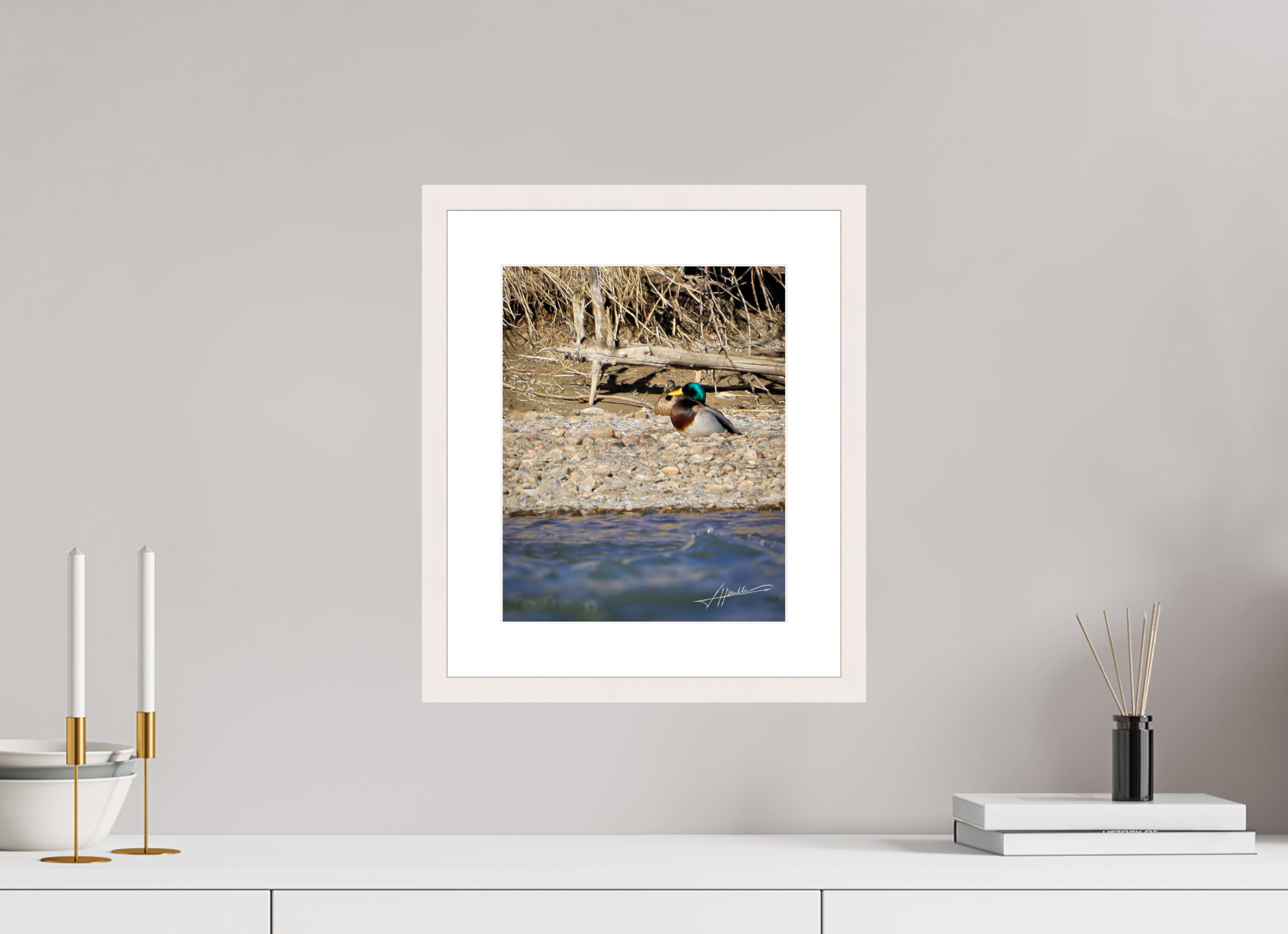 10 x 12.5″, Solid Wood Frame with Passe-partout Sunbathing Mallard