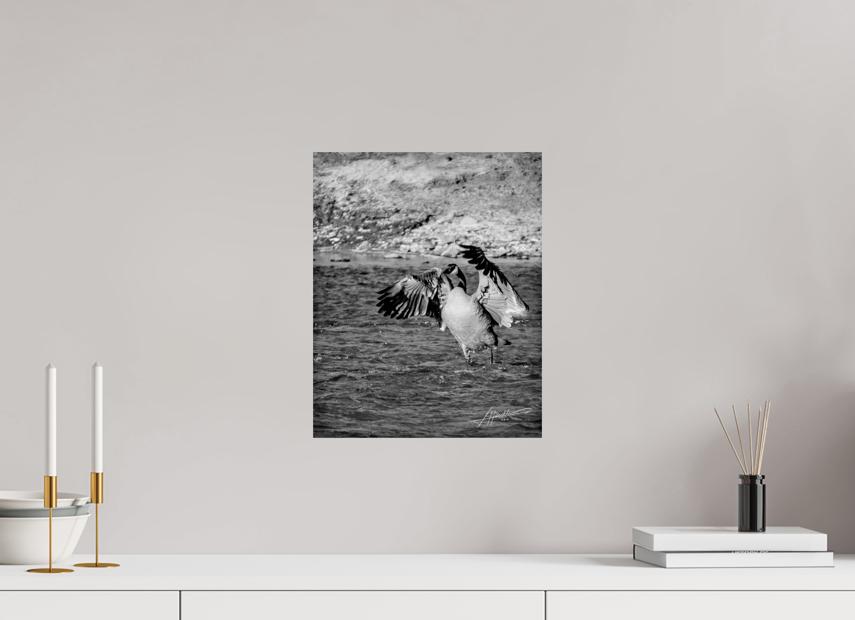 12 x 15″, Photo Print On Ilford Baryta Paper The Bathing Goose