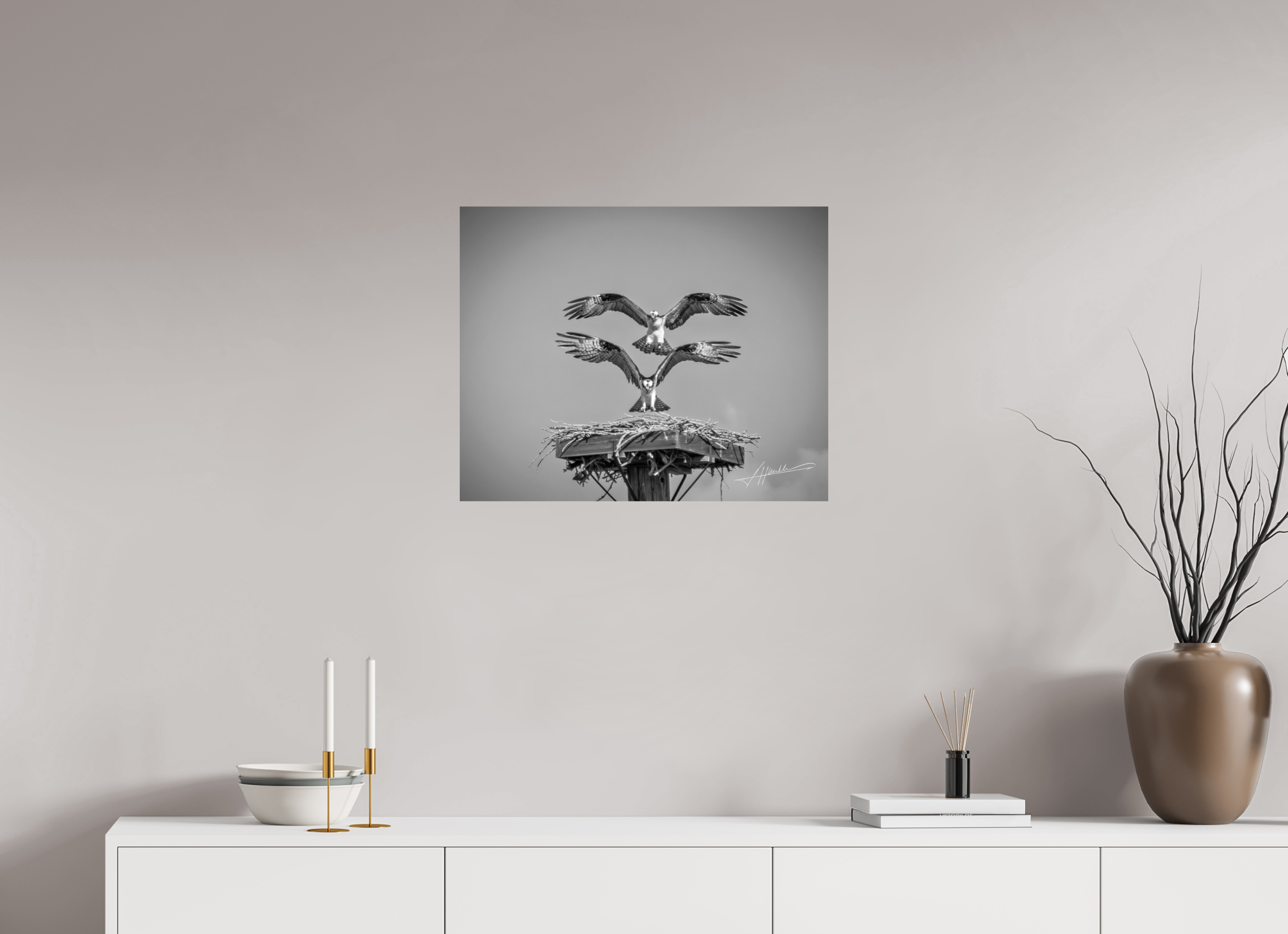 25 x 20″, Photo Print On Ilford Baryta Paper Two Osprey Landing