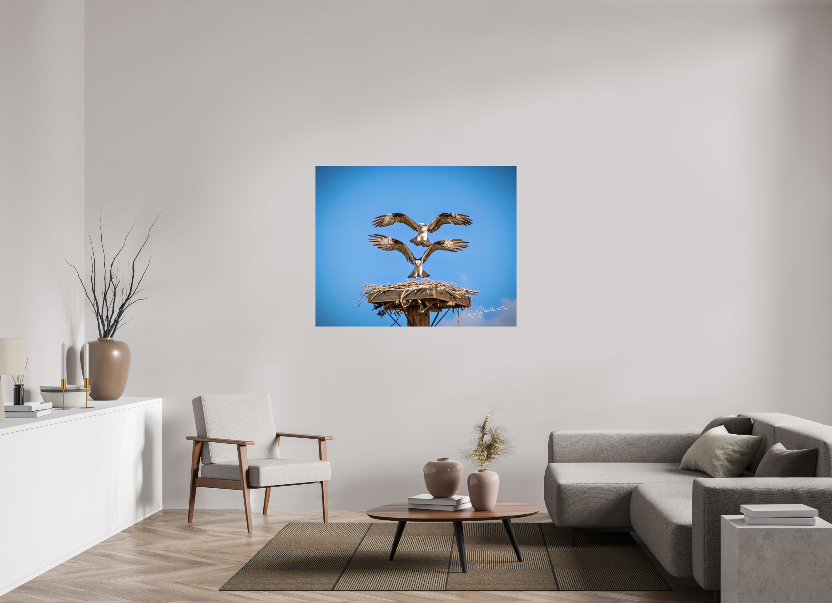 50 x 40″, Fine Art Dibond Two Osprey Landing