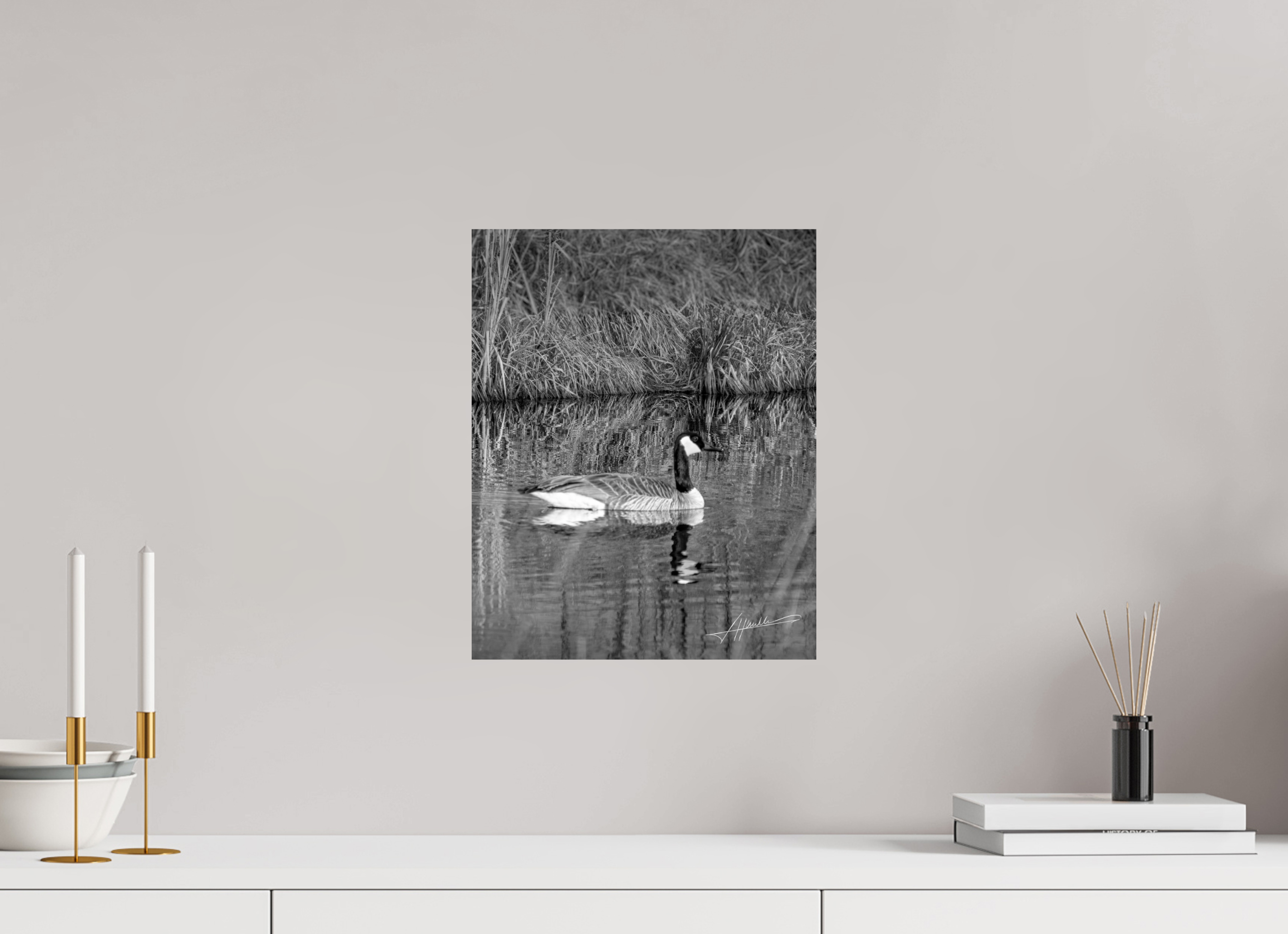 12 x 15″, Photo Print On Ilford Baryta Paper A Swimming Reflection