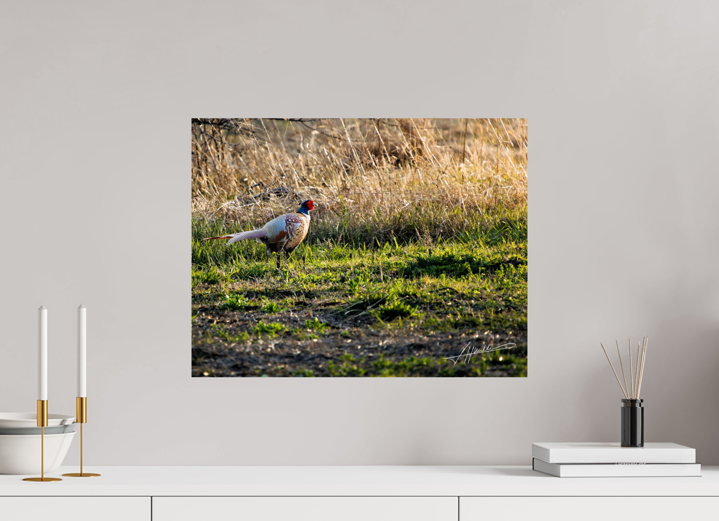 20.7 x 16″, ChromaLuxe HD Metal Evening Pheasant
