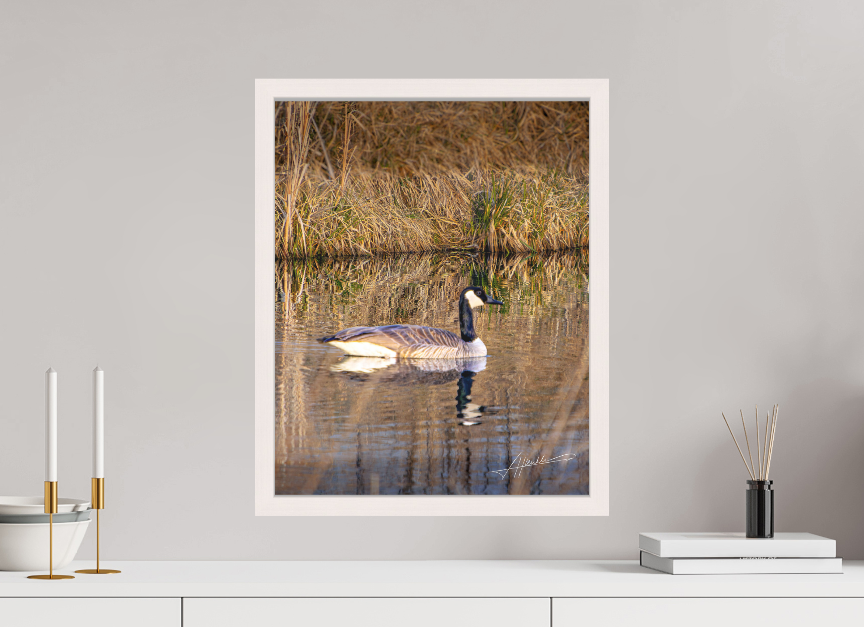 16 x 20″, Shadow Box Frame A Swimming Reflection