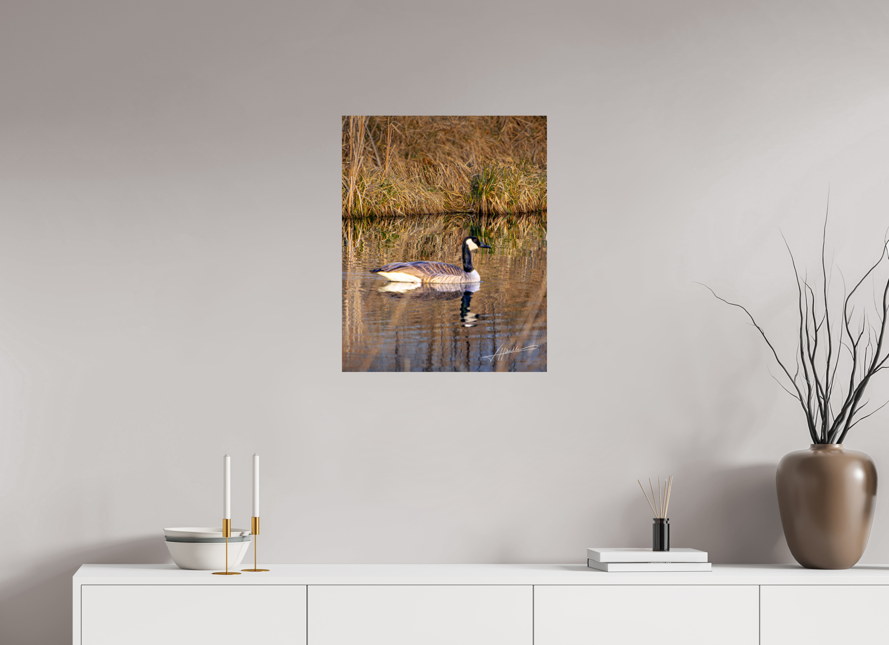 20 x 25″, Fine Art Dibond A Swimming Reflection