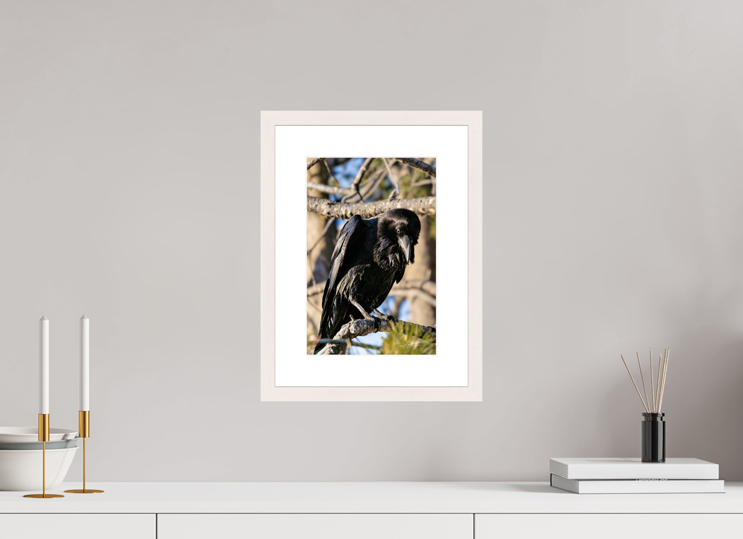 8 x 12″, Solid Wood Frame with Passe-partout Morning Raven