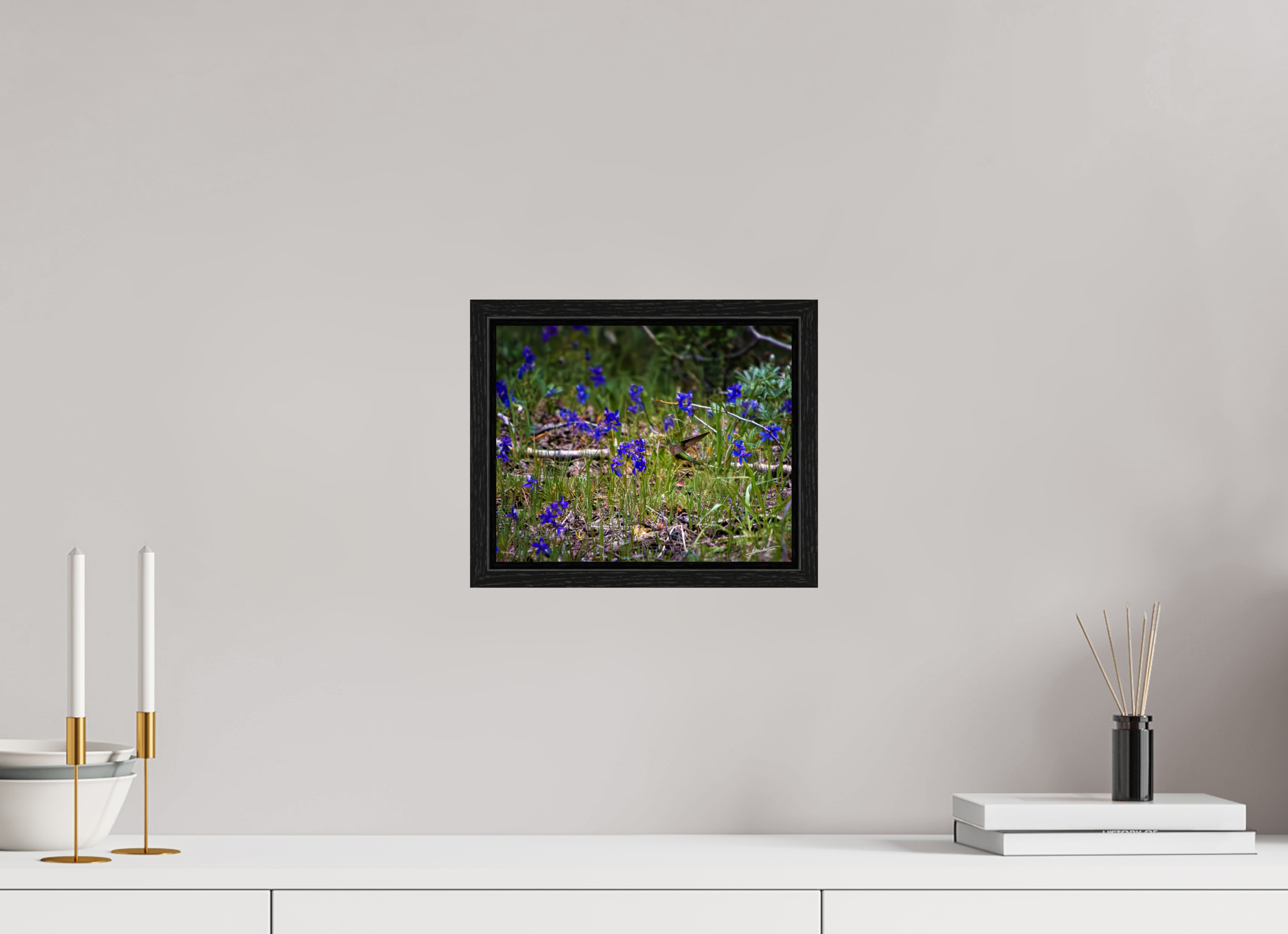 10 x 8″, Floater Frame Feeding Hummingbird