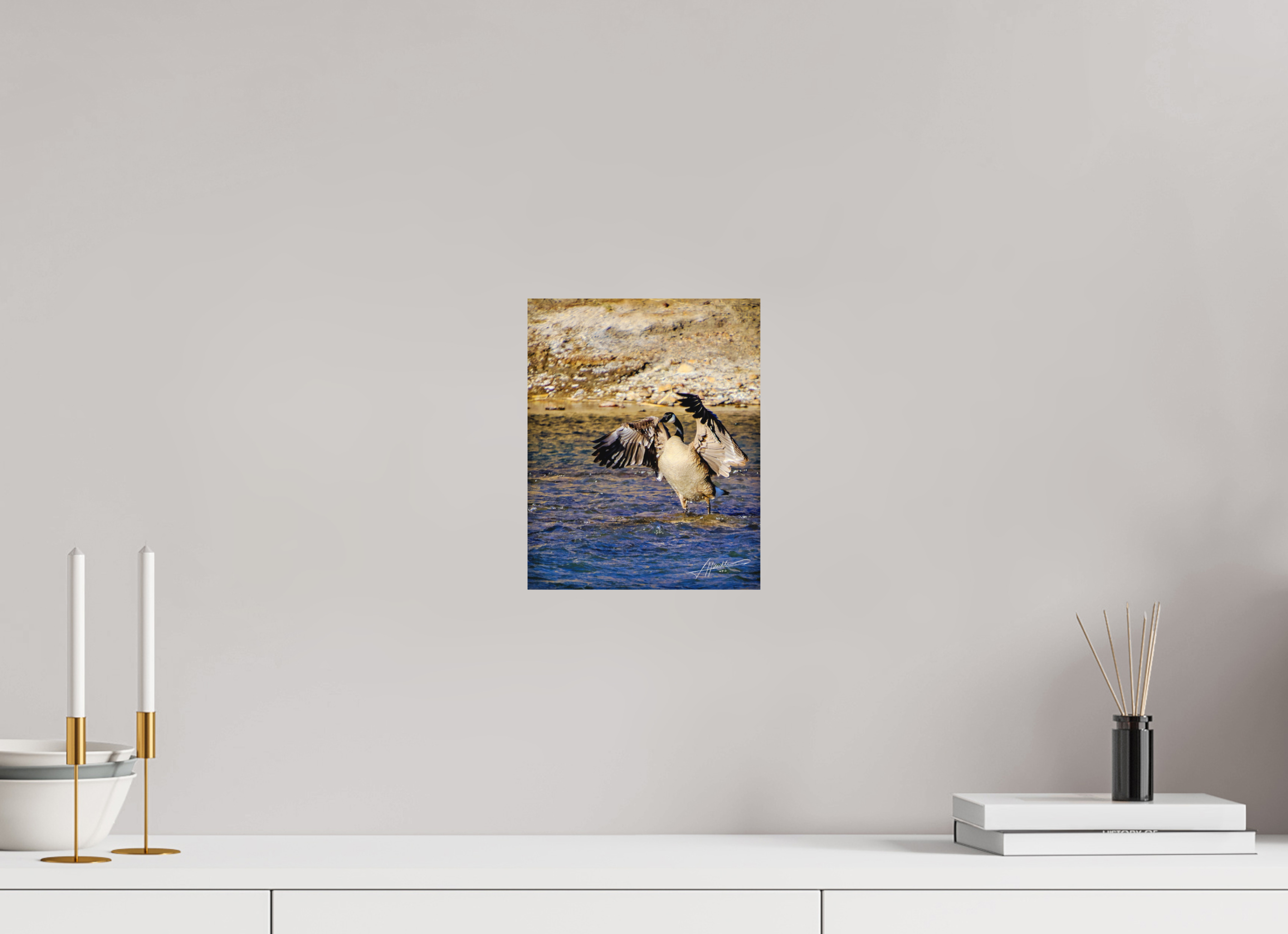 8 x 10″, Metal Dibond The Bathing Goose