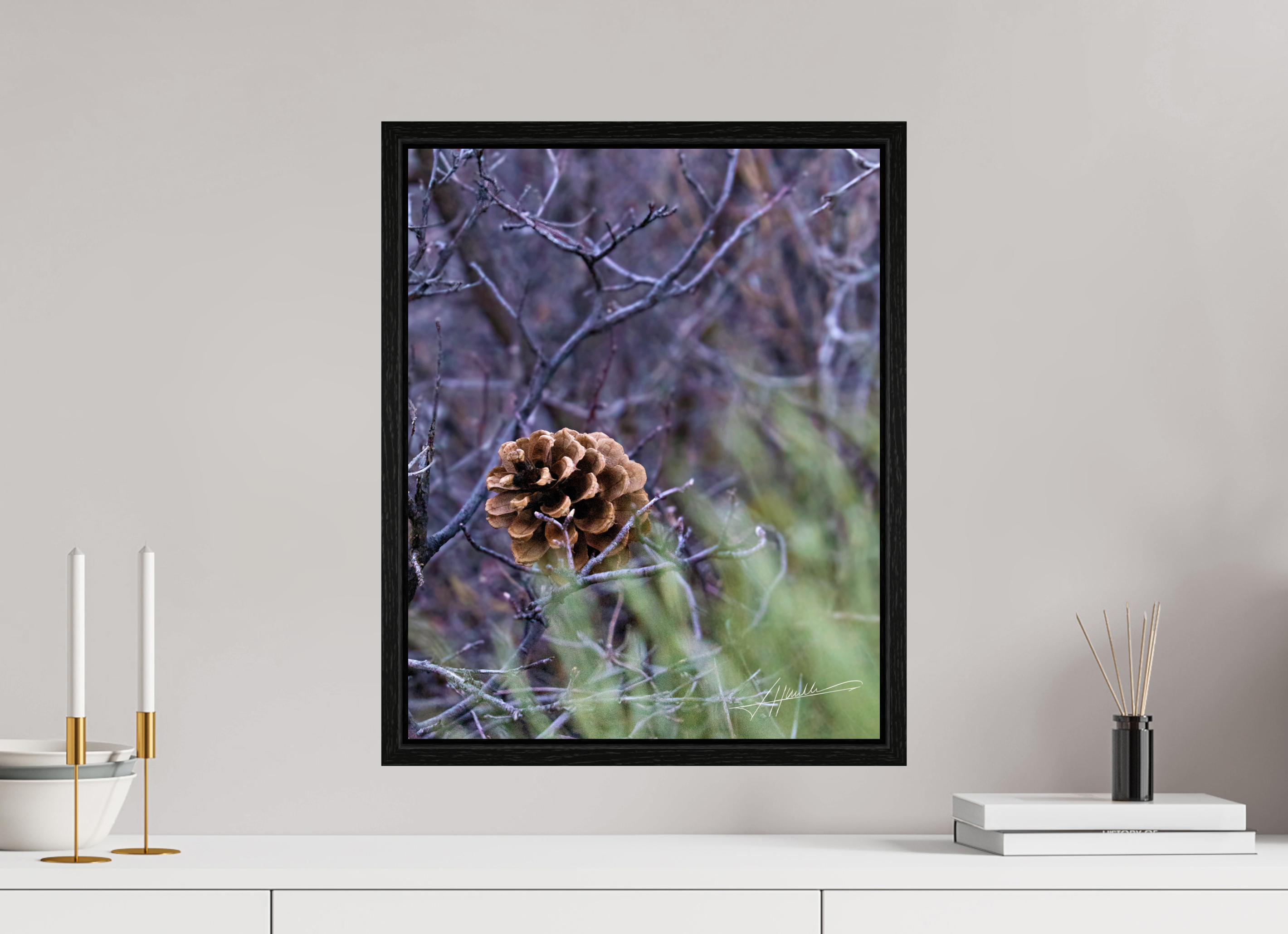 16 x 20″, Floater Frame Mountain Pinecone