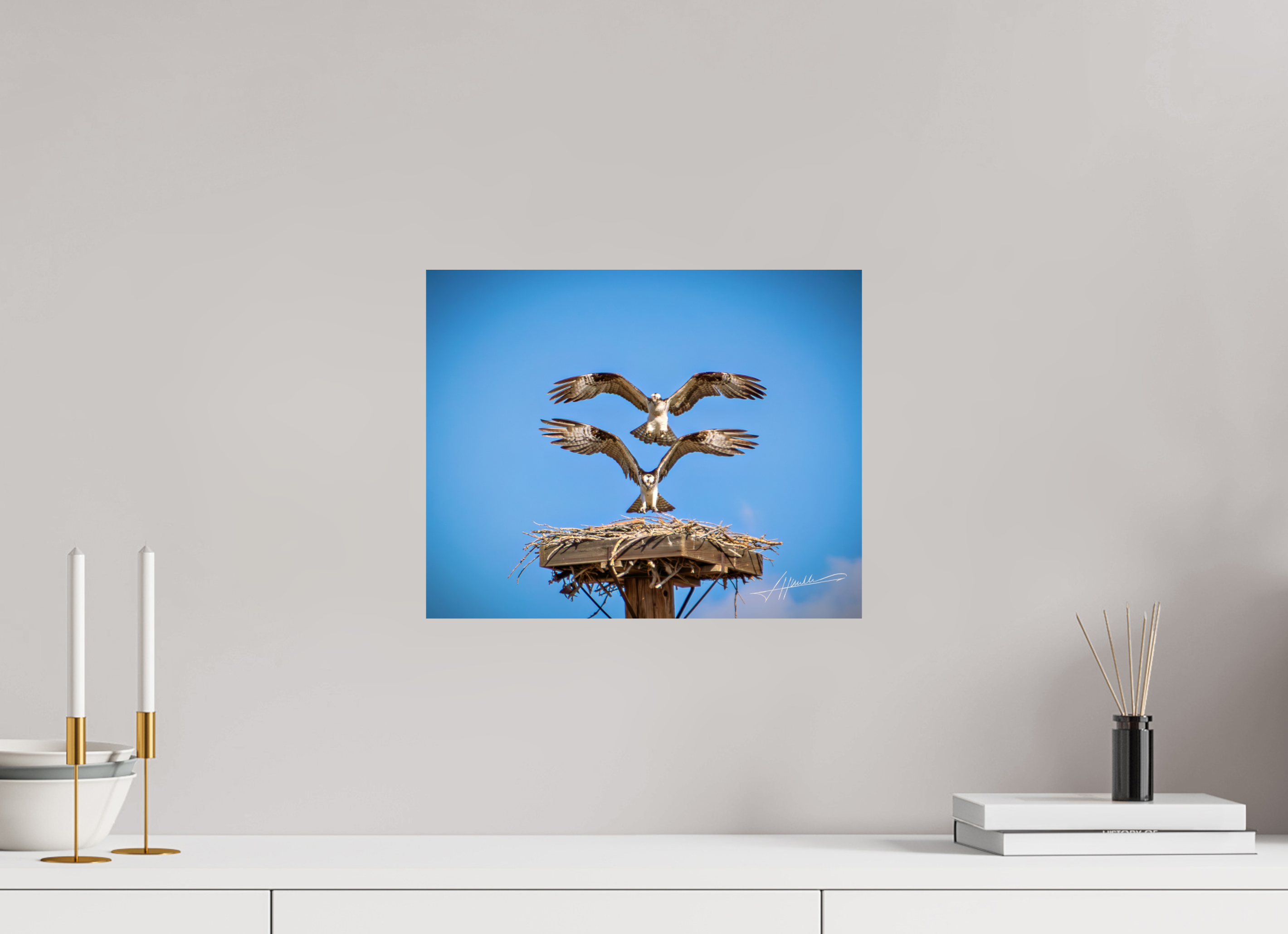 15 x 12″, ChromaLuxe HD Metal Two Osprey Landing