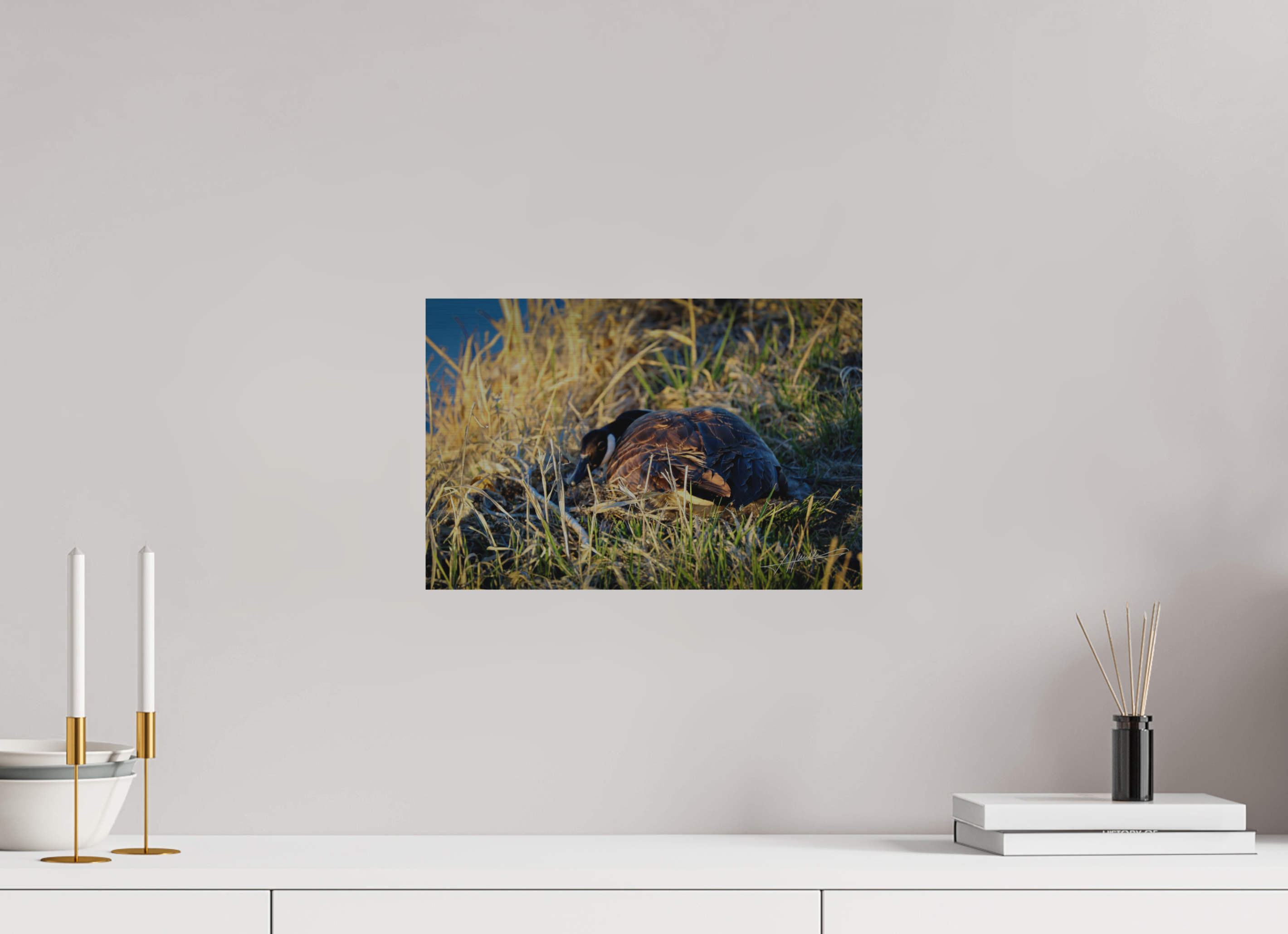 15 x 10″, Direct Brushed Aluminum New Nester