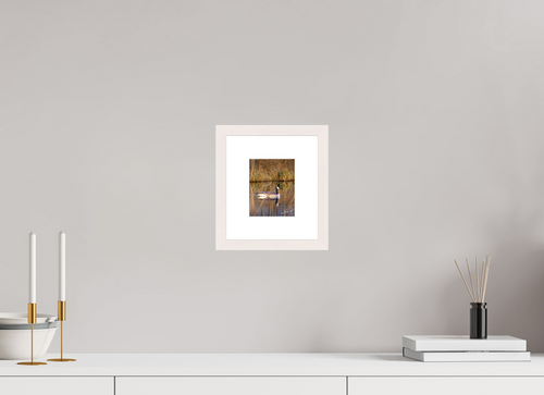 4 x 5″, Solid Wood Frame with Passe-partout A Swimming Reflection