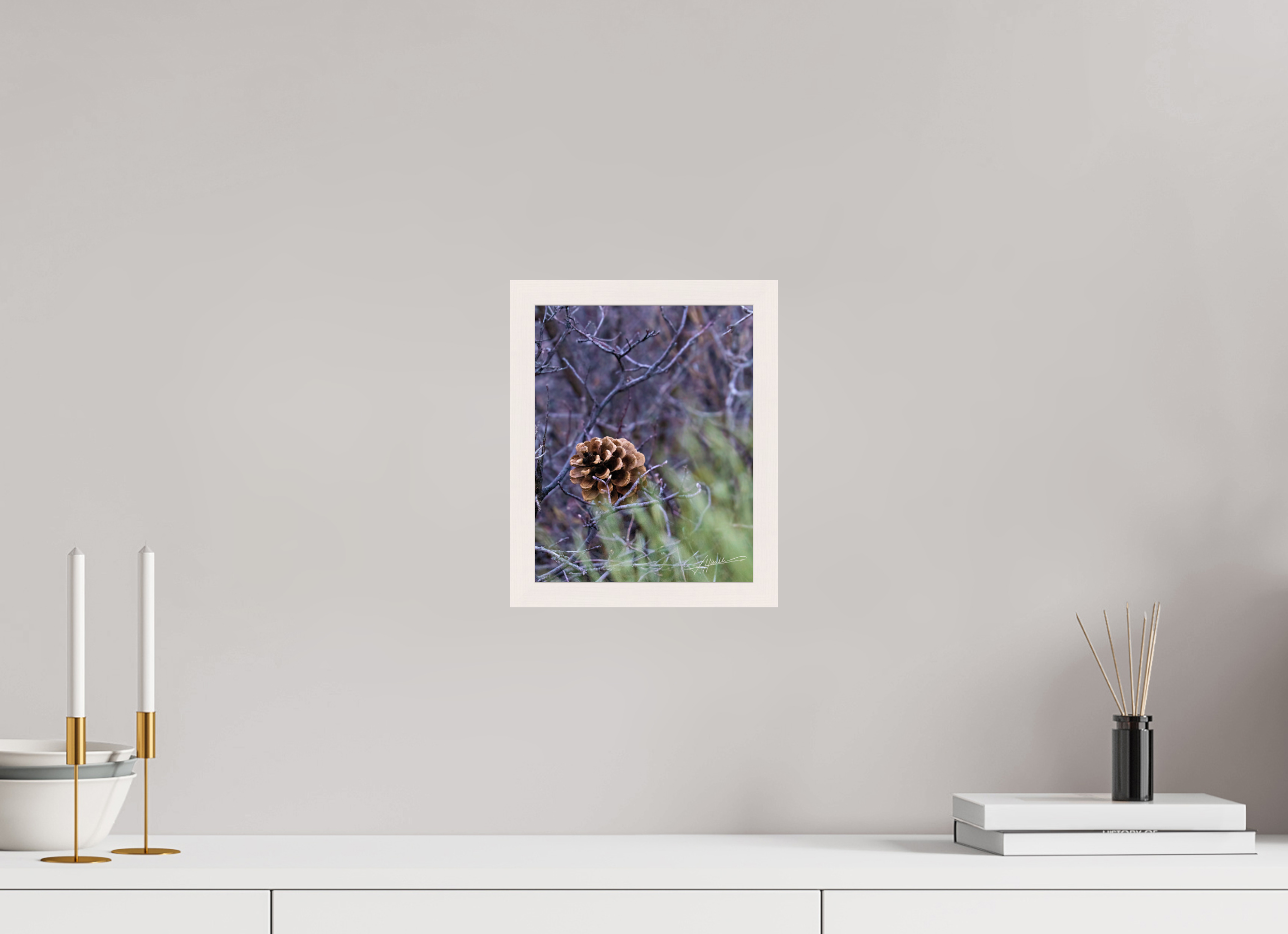 8 x 10″, Gallery Frame Mountain Pinecone