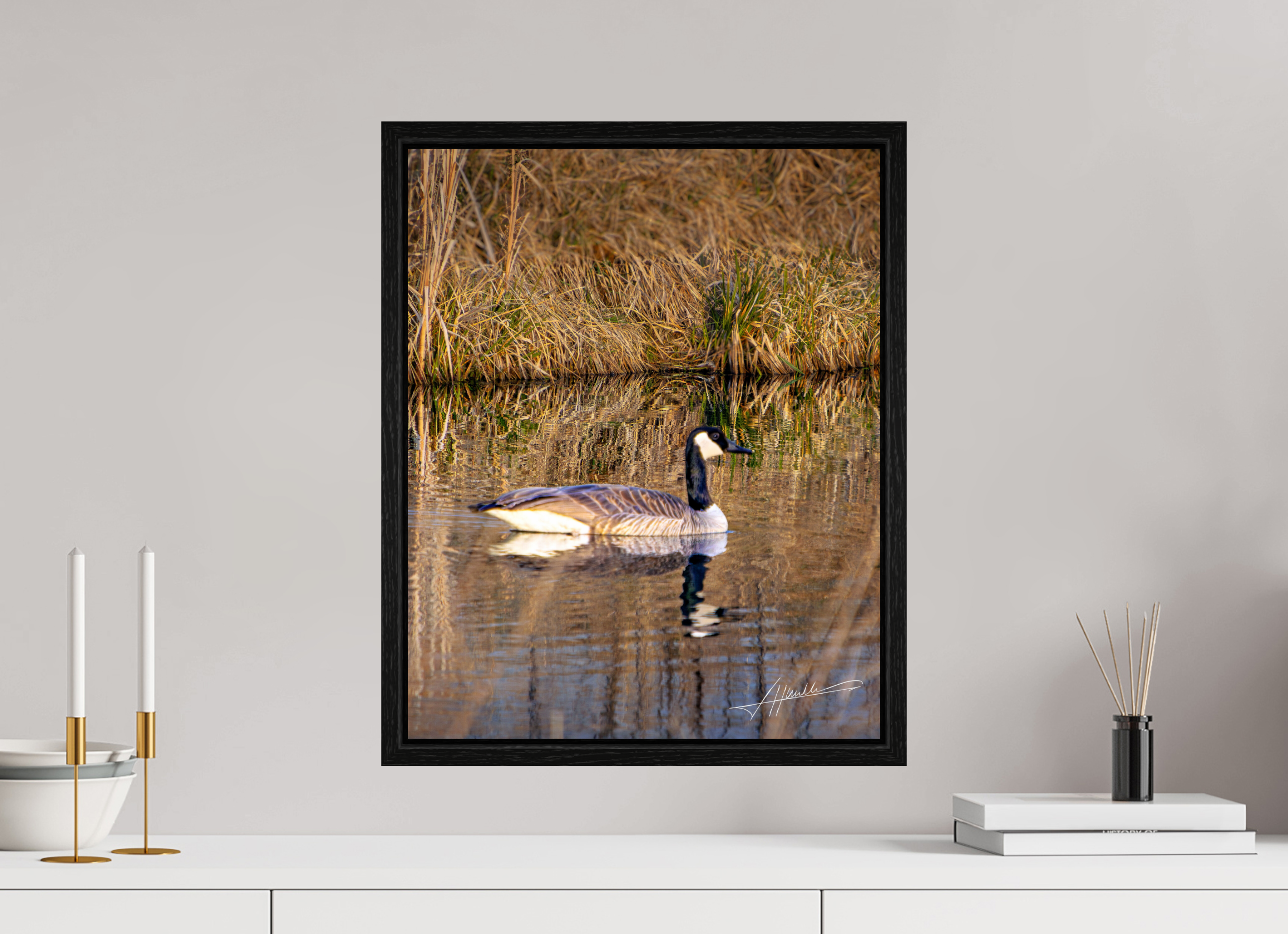 16 x 20″, Floater Frame A Swimming Reflection