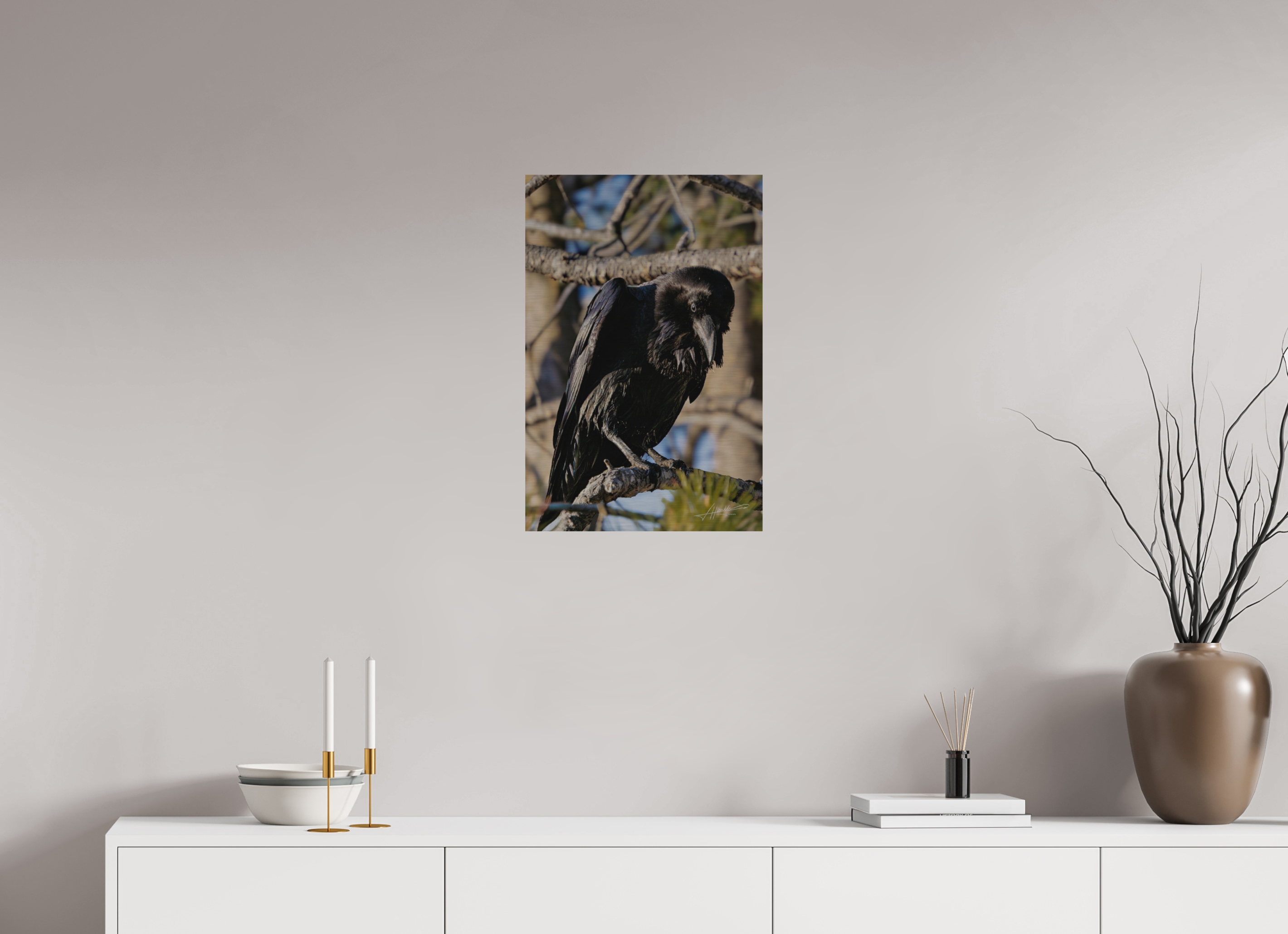 16 x 24″, Direct Brushed Aluminum Morning Raven
