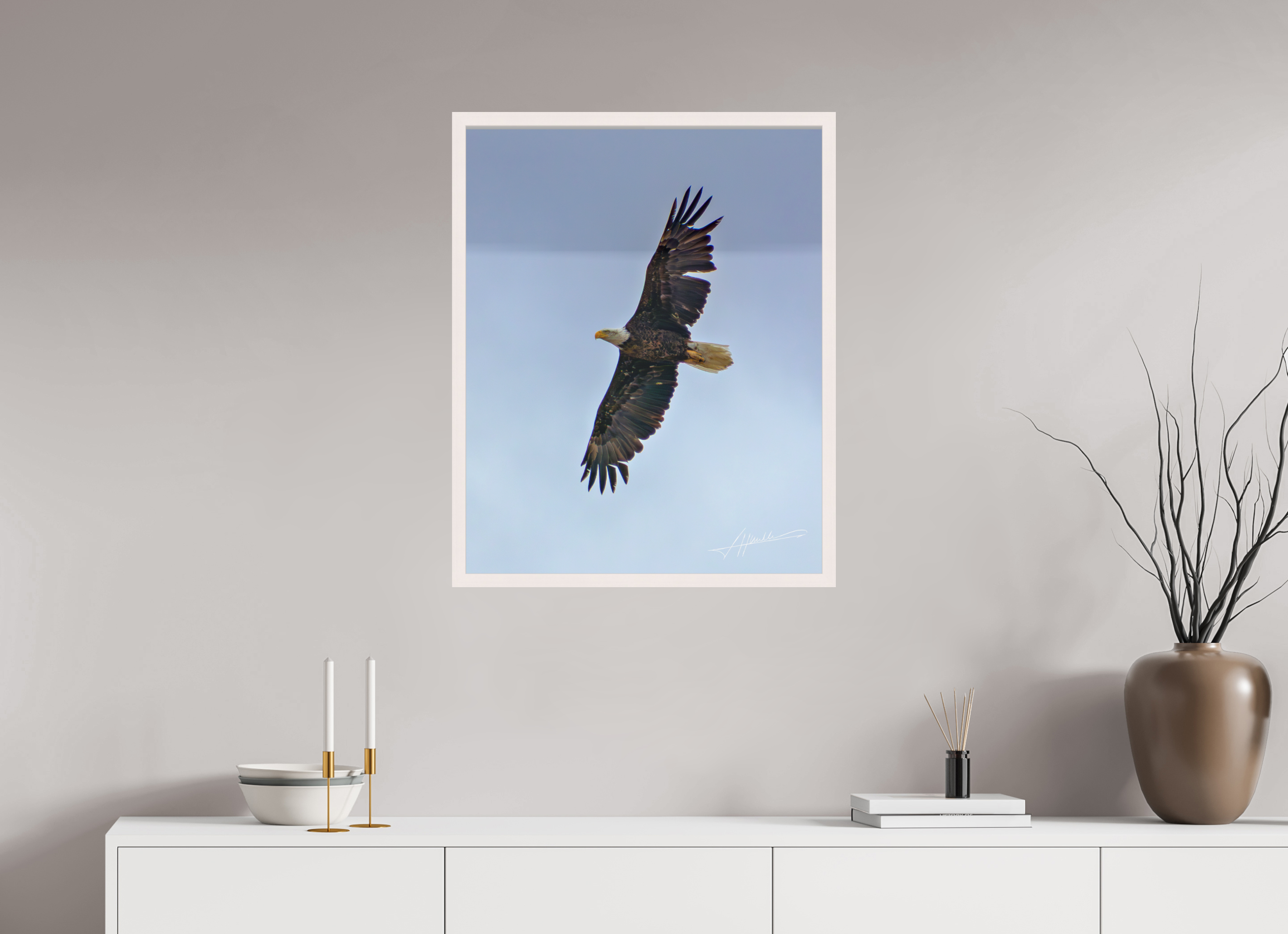 24 x 30″, Shadow Box Frame Wings Spread
