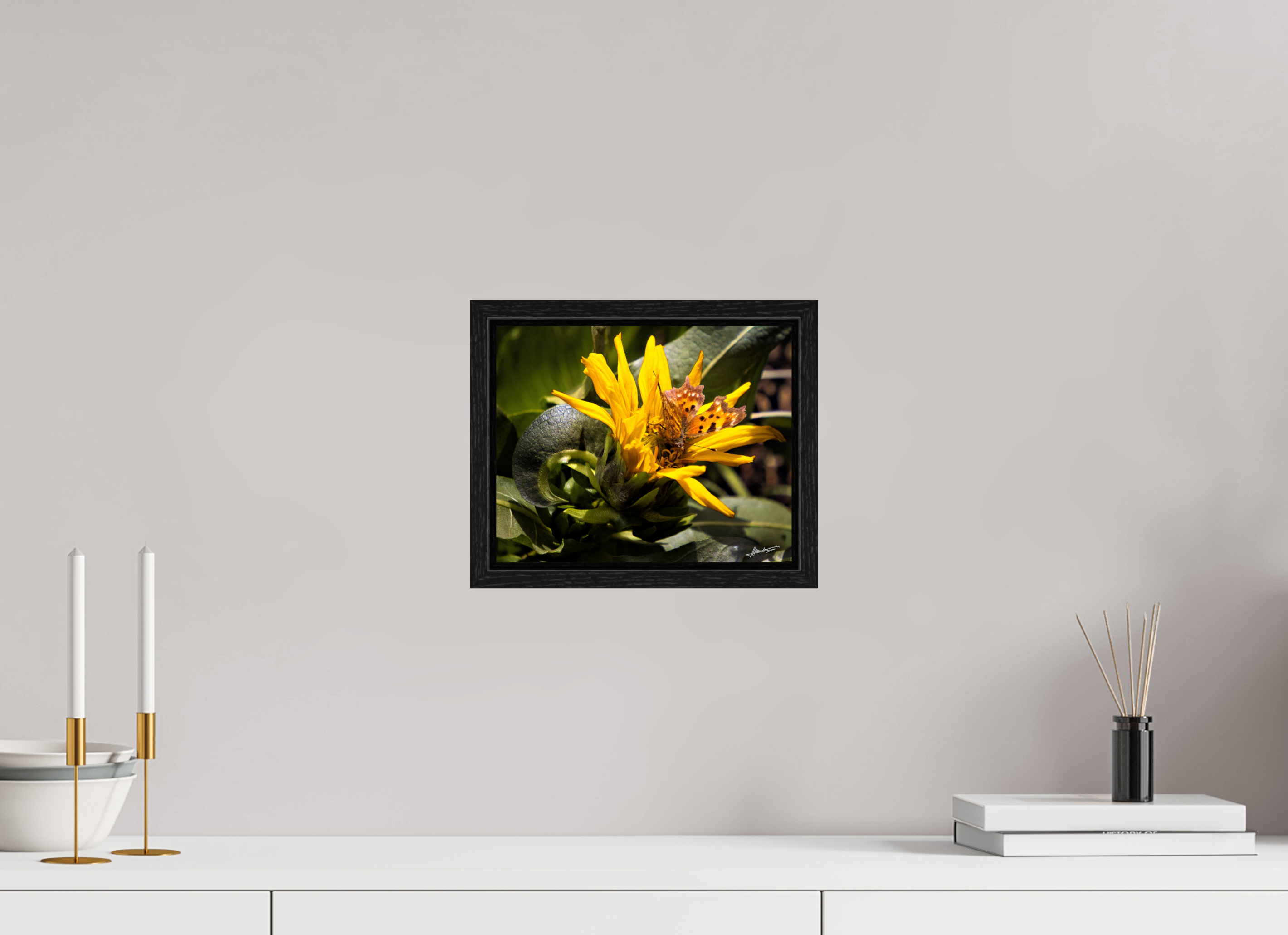 10 x 8″, Floater Frame Busy Butterfly