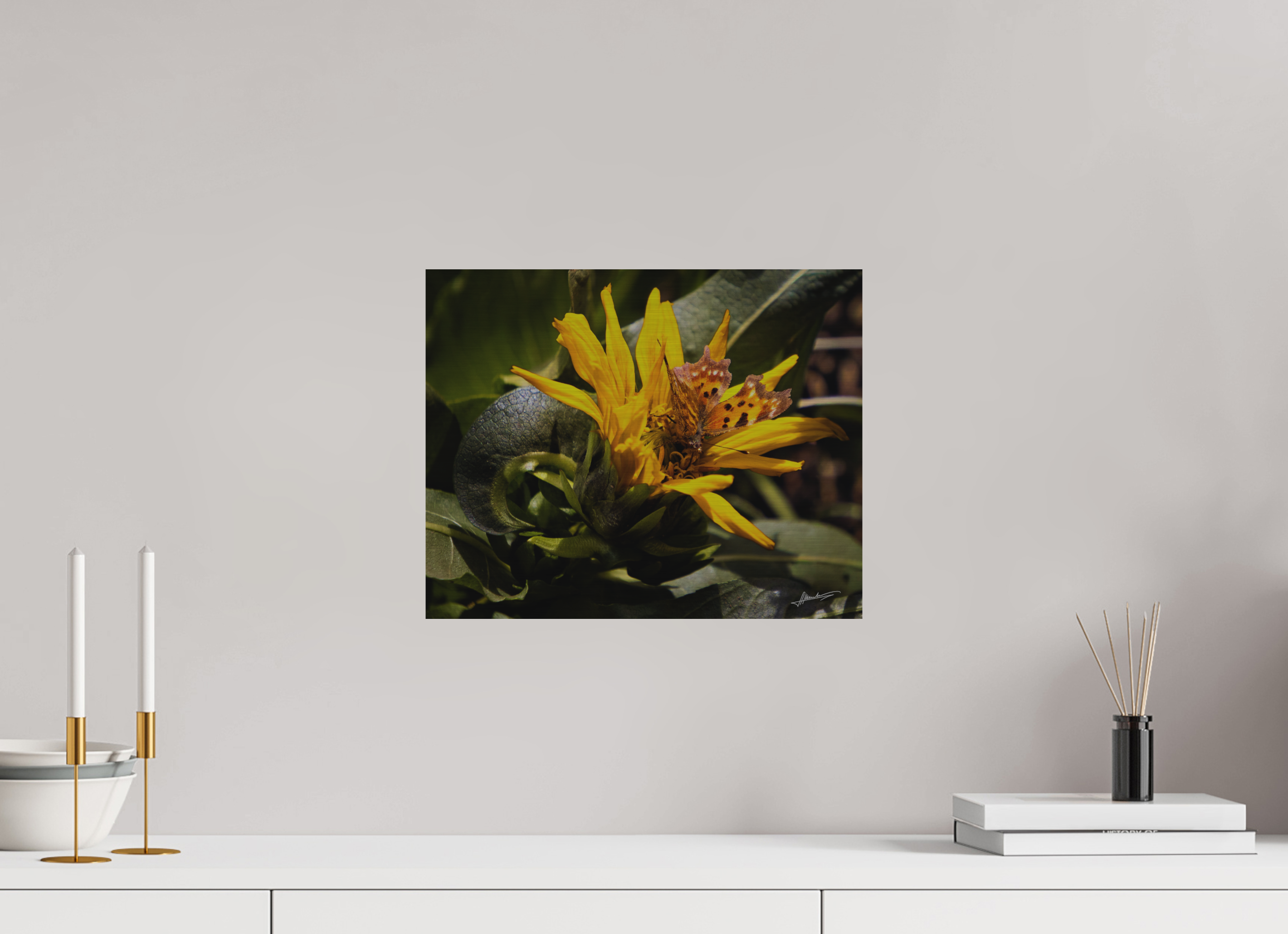 15 x 12″, Direct Brushed Aluminum Busy Butterfly