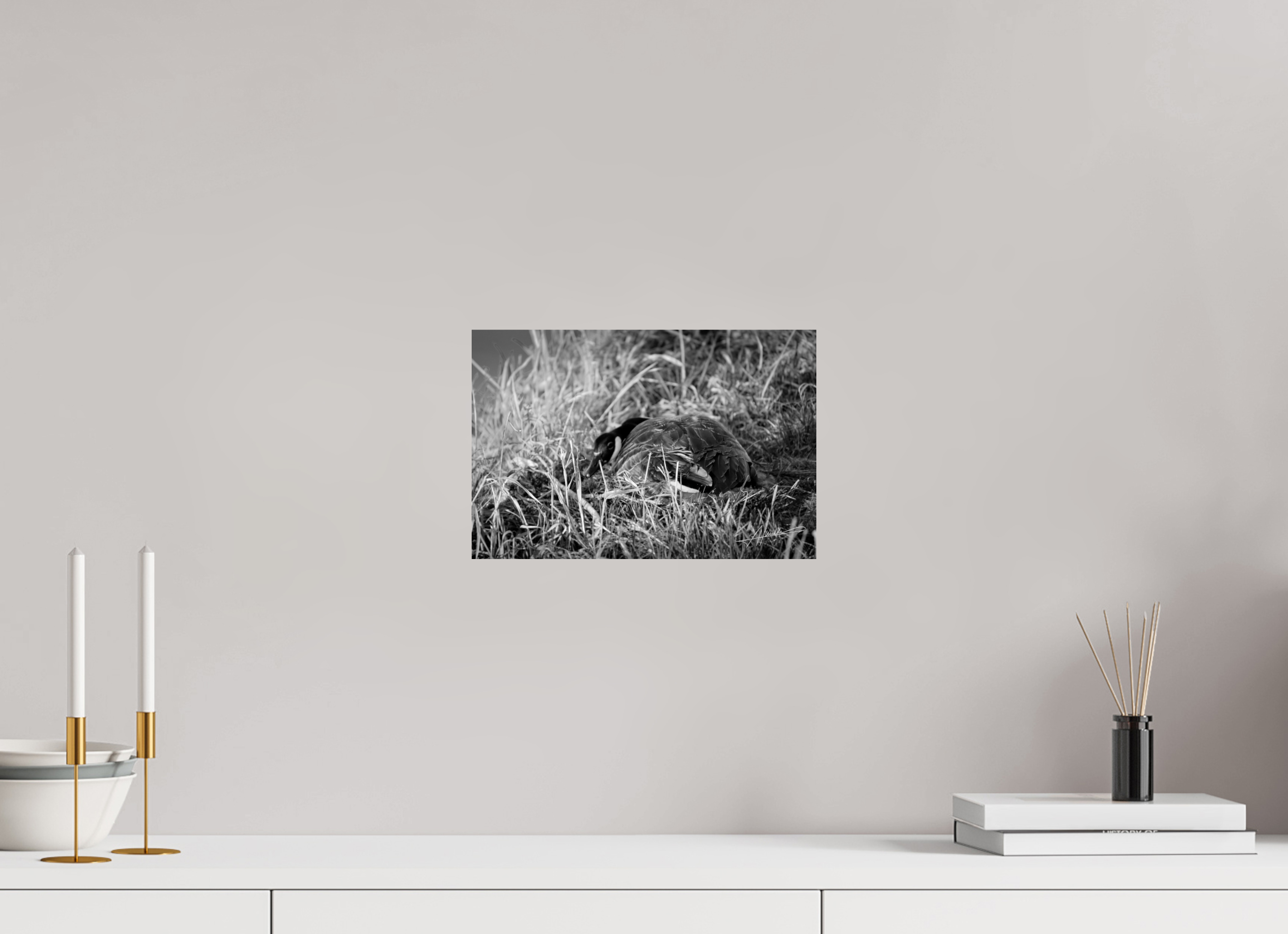 12 x 8″, Photo Print On Ilford Baryta Paper New Nester