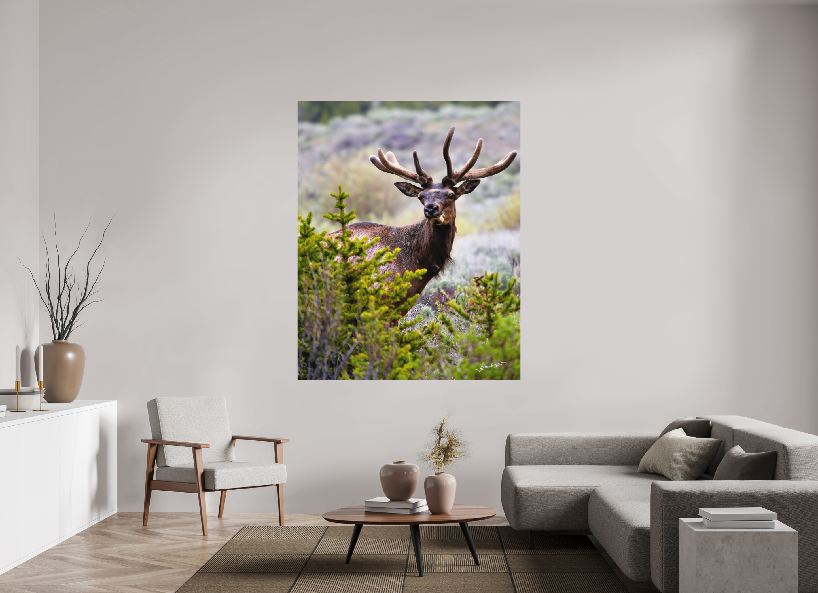 55 x 68.7″, Metal Dibond Velvet Bull