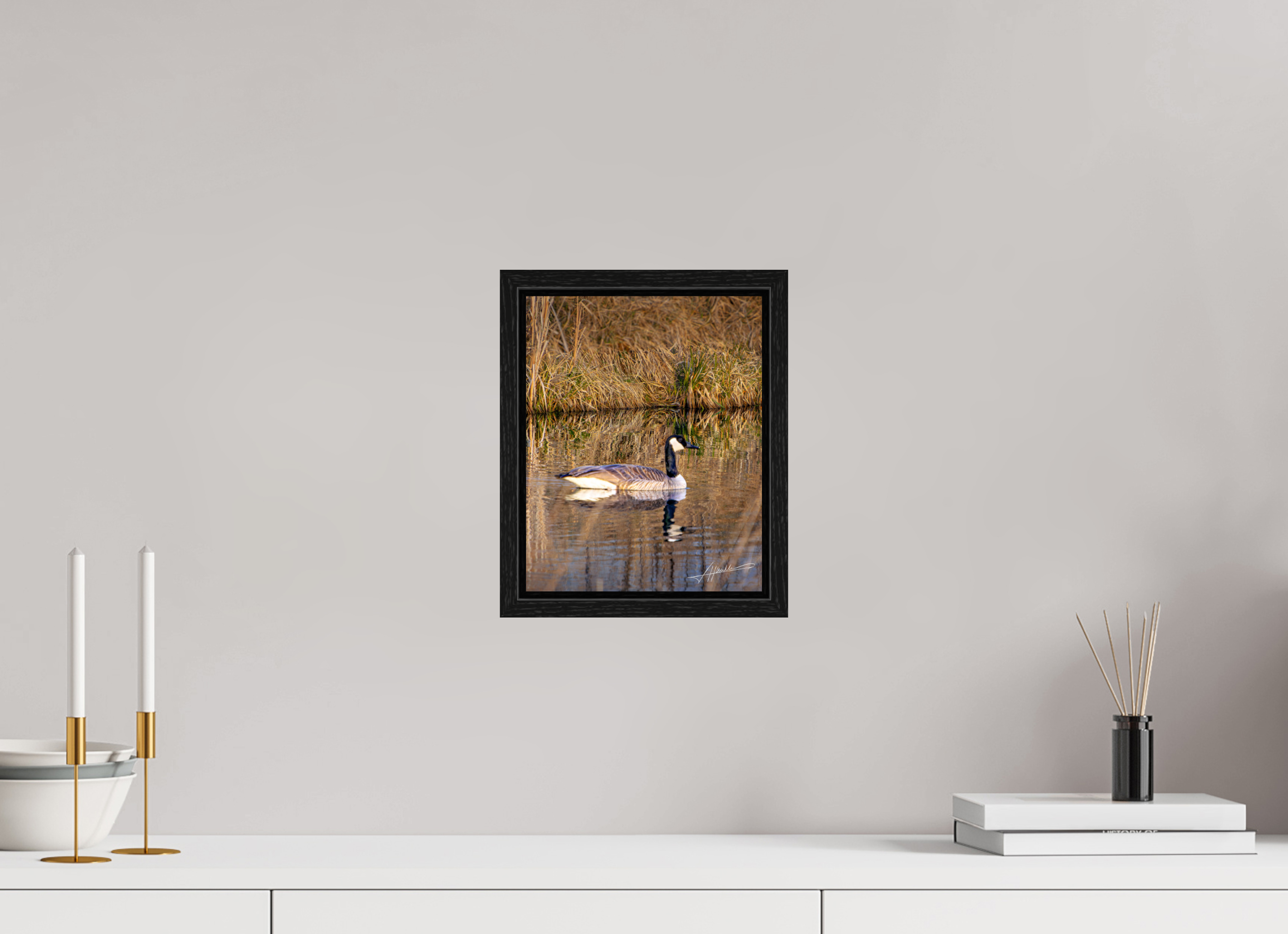 8 x 10″, Floater Frame A Swimming Reflection