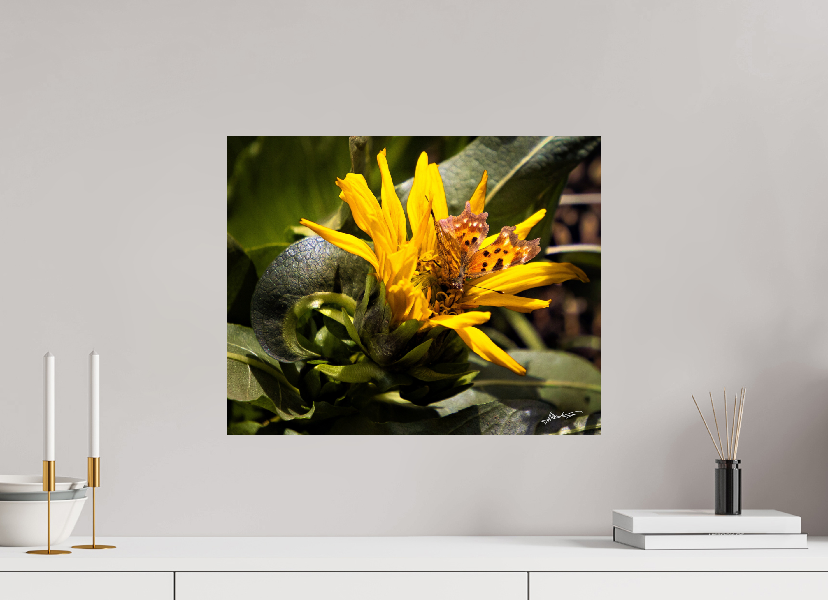20 x 16″, Fine Art Dibond Busy Butterfly