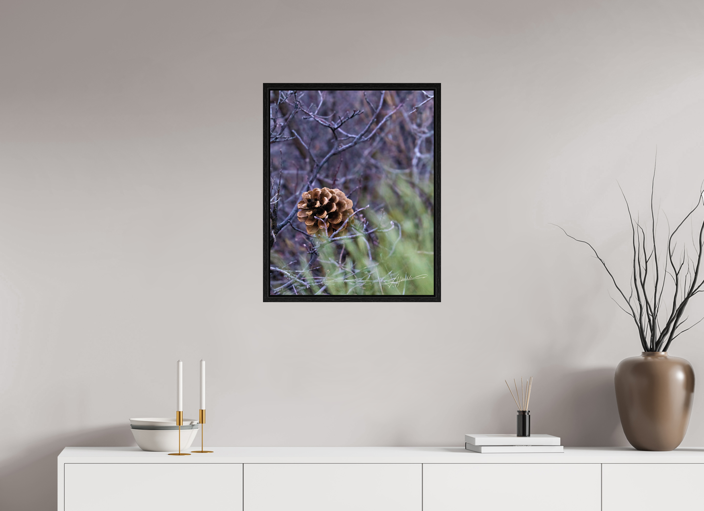 20 x 25″, Floater Frame Mountain Pinecone