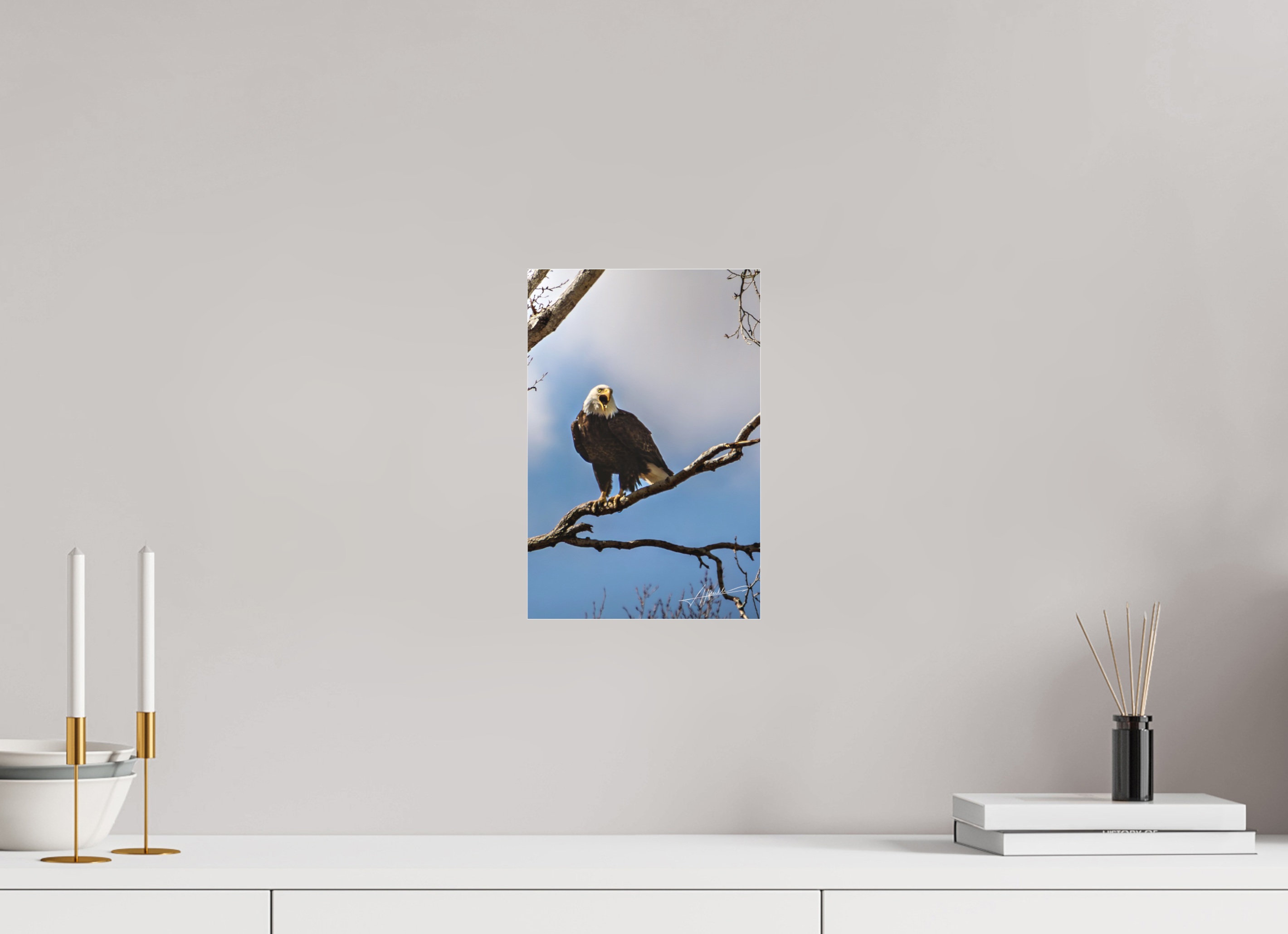 8 x 12″, Fine Pigment Under Acrylic The Eagle's Call