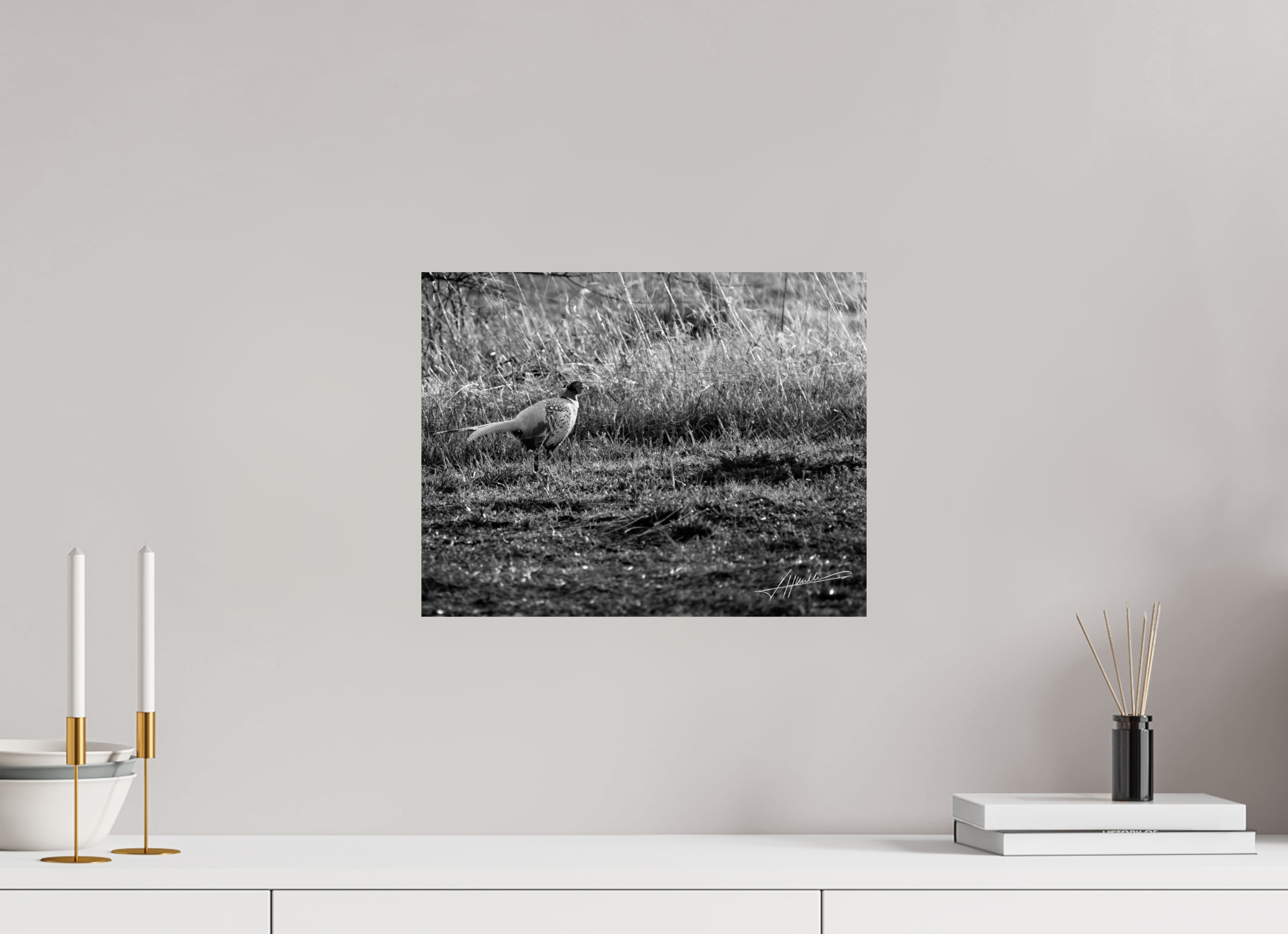 15.5 x 12″, Photo Print On Ilford Baryta Paper Evening Pheasant