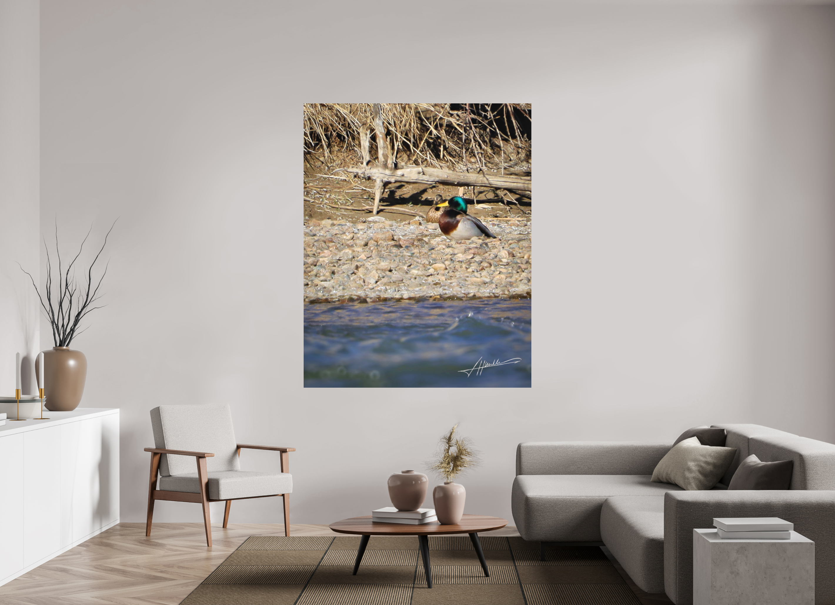 55 x 68.7″, Metal Dibond Sunbathing Mallard