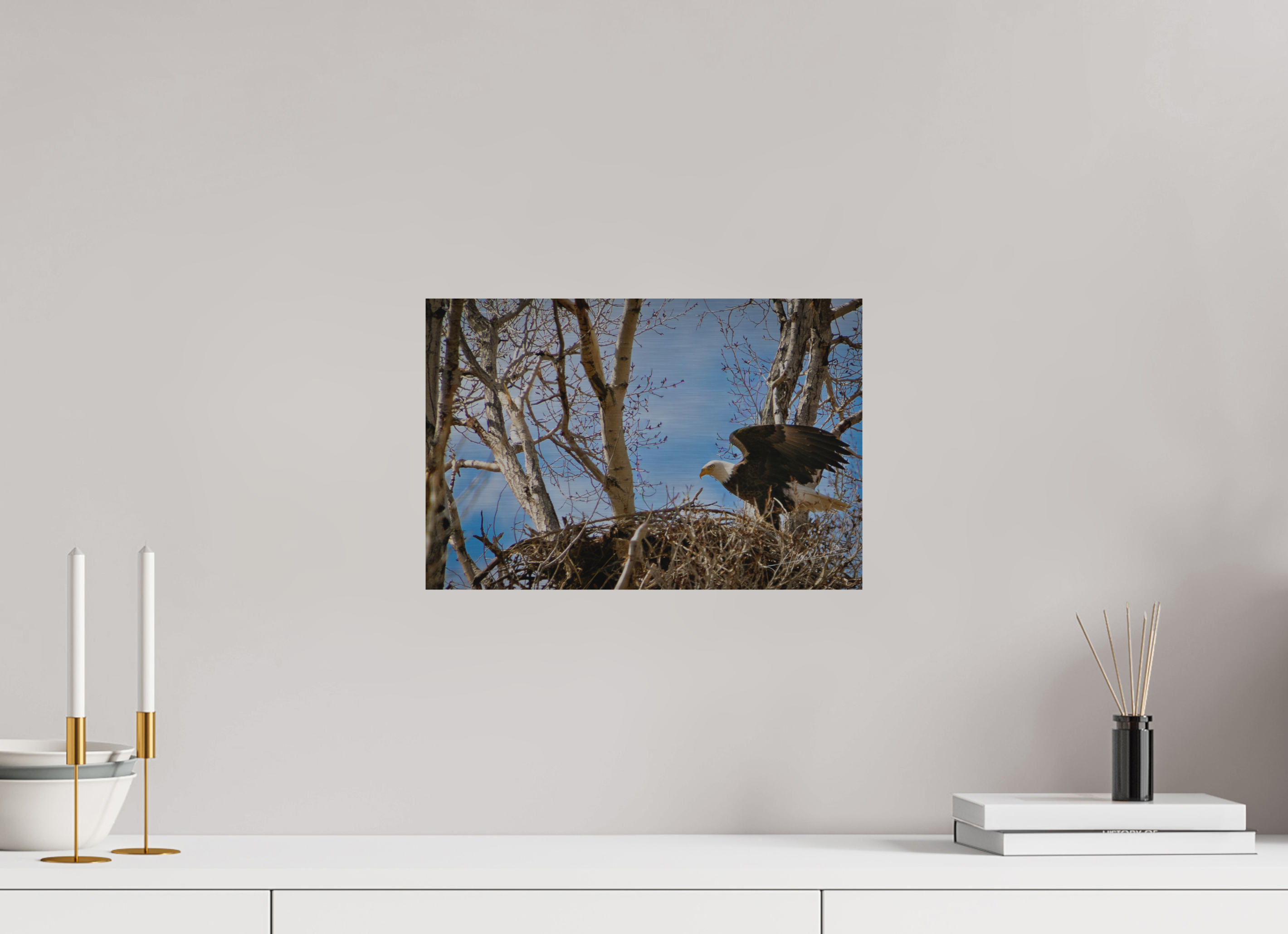 15 x 10″, Direct Brushed Aluminum The Eagles Nest