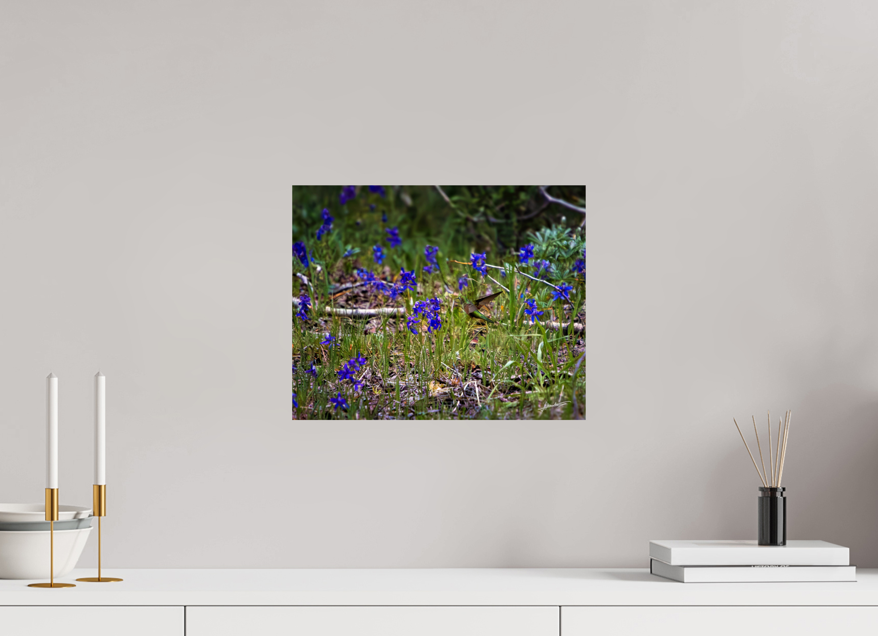 15 x 12″, Photo Print On Fujiflex High Gloss Feeding Hummingbird