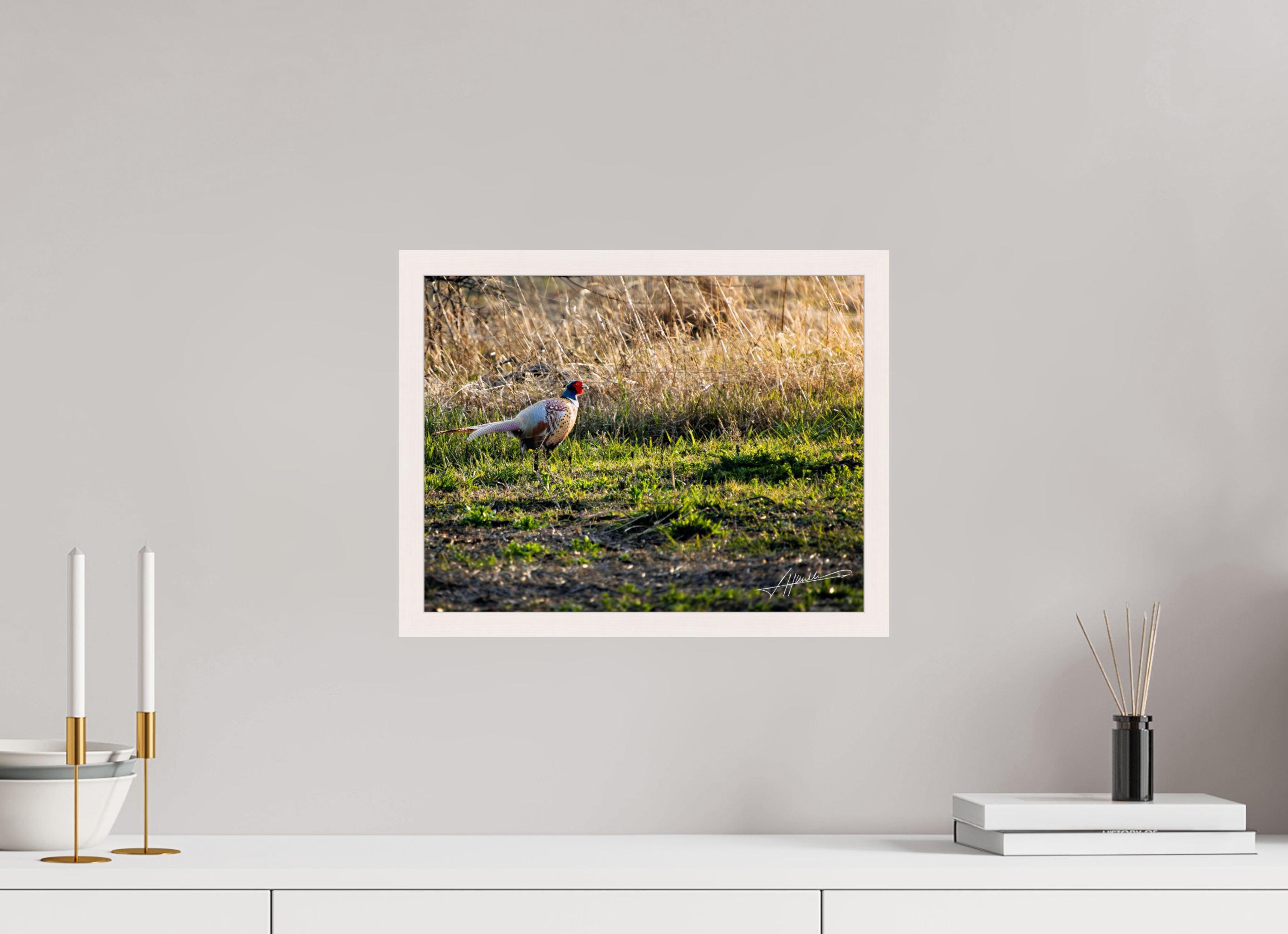 15.5 x 12″, Gallery Frame Evening Pheasant
