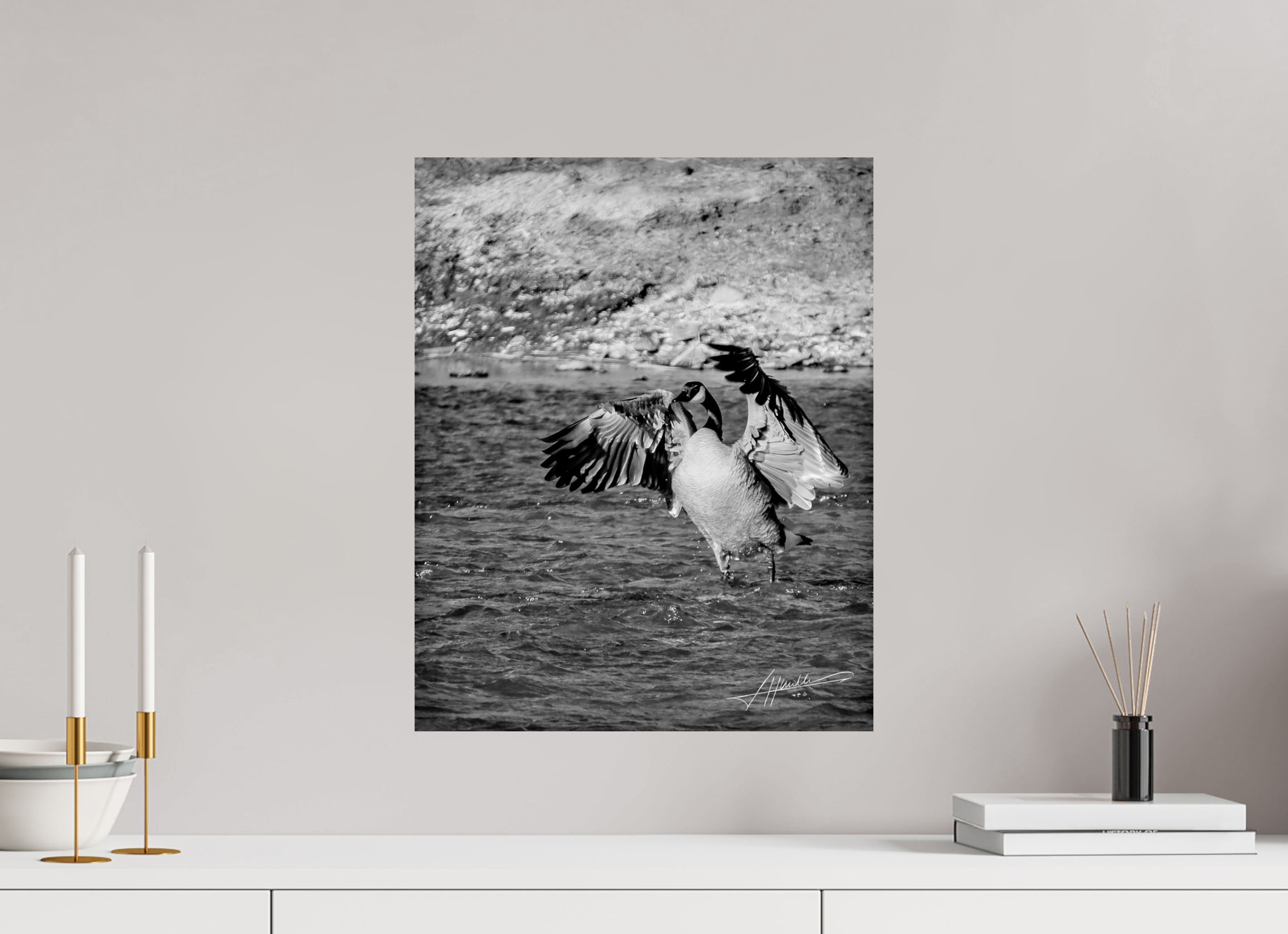 16 x 20″, Photo Print On Ilford Baryta Paper The Bathing Goose