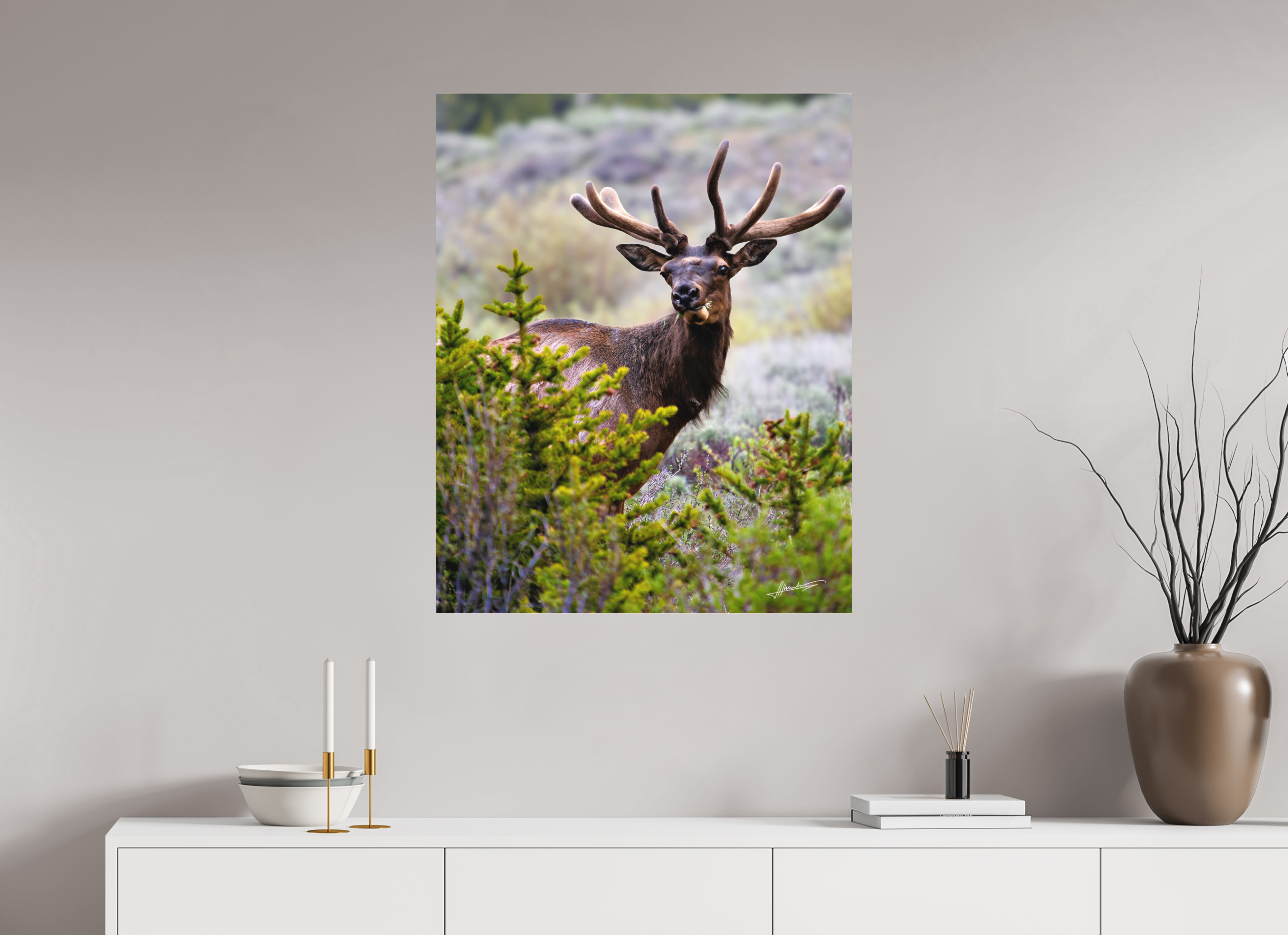 28 x 35″, Fine Pigment Under Acrylic Velvet Bull