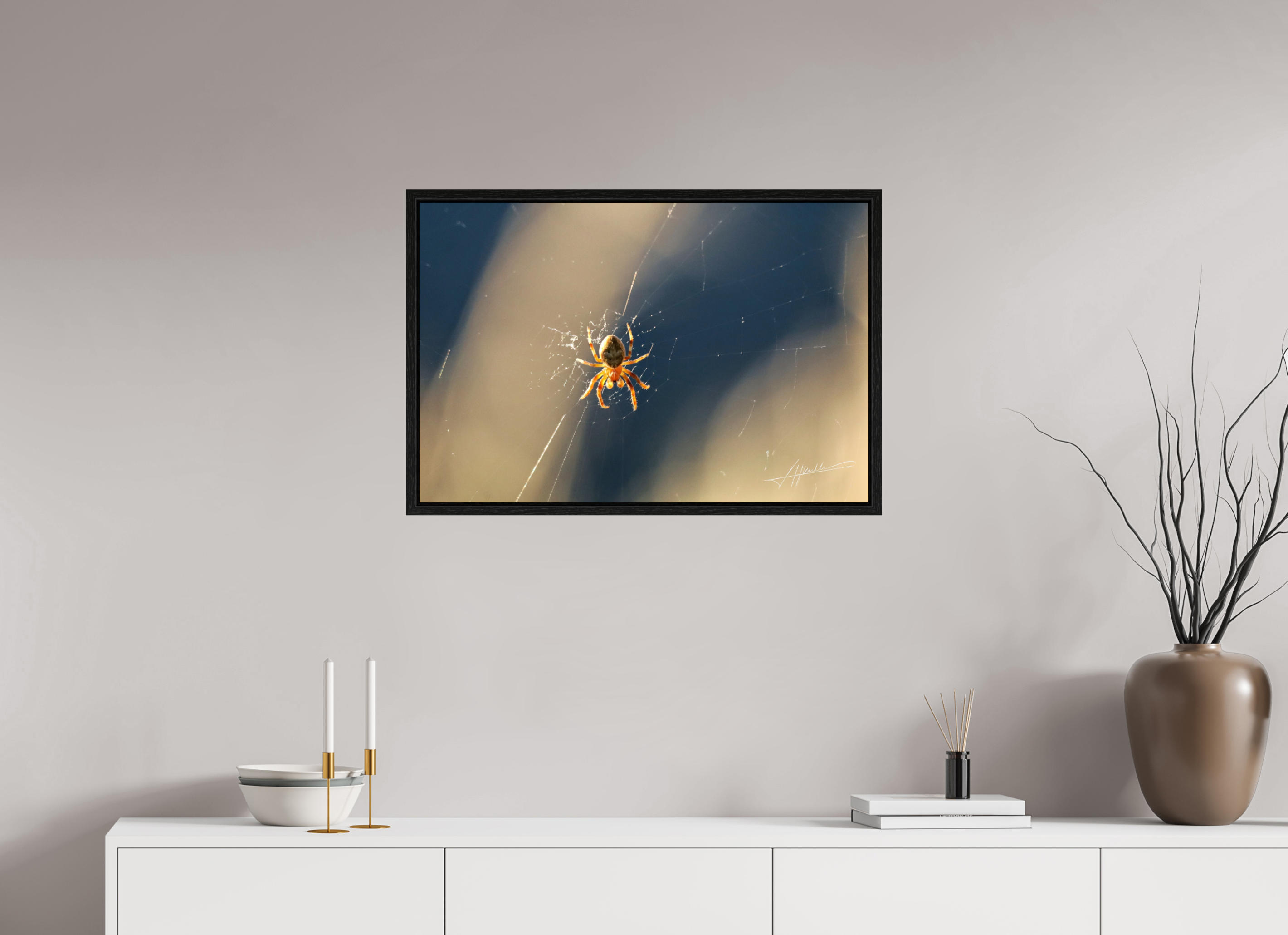 30 x 20″, Floater Frame Tattered Web