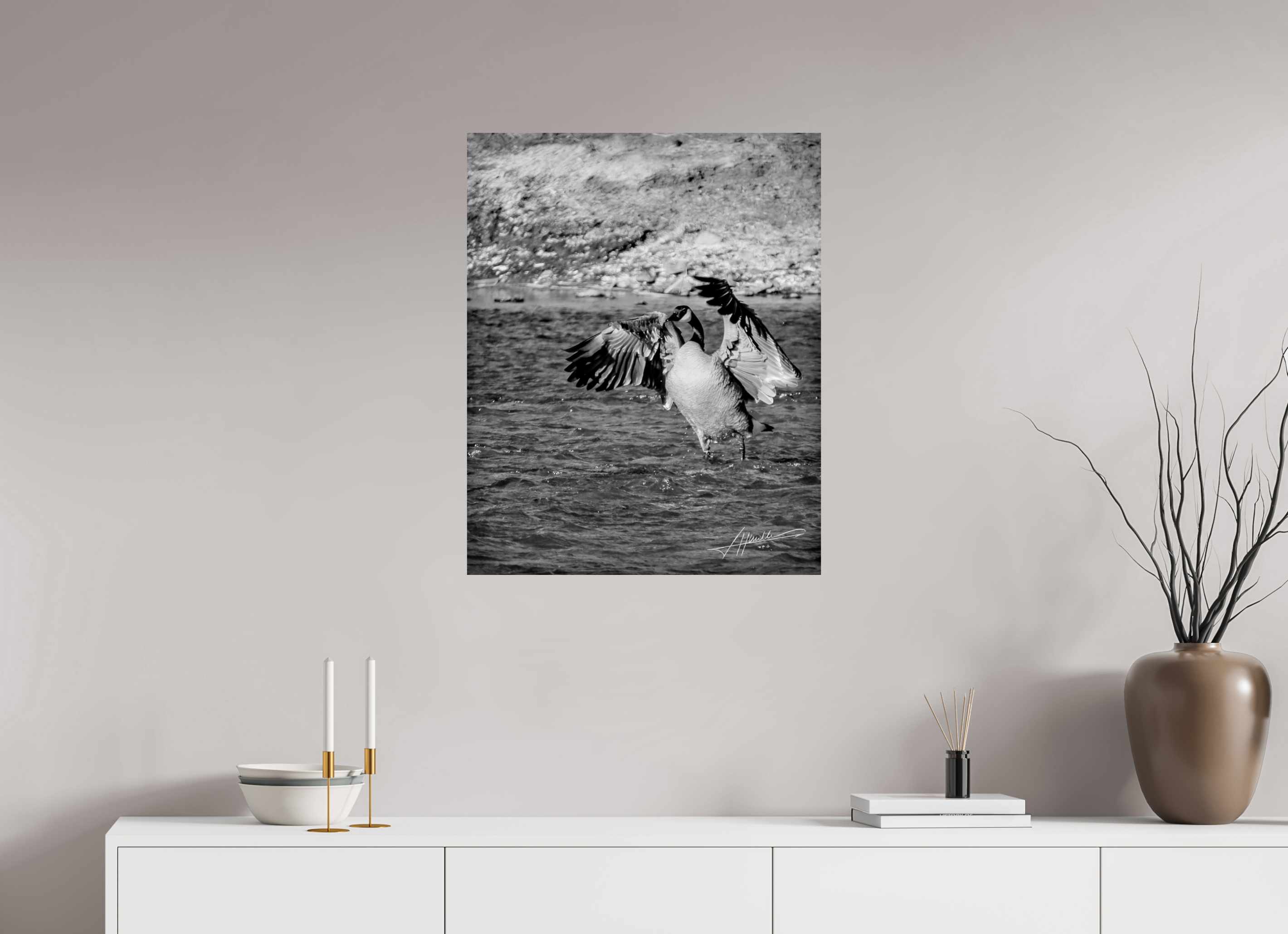 24 x 30″, Photo Print On Ilford Baryta Paper The Bathing Goose