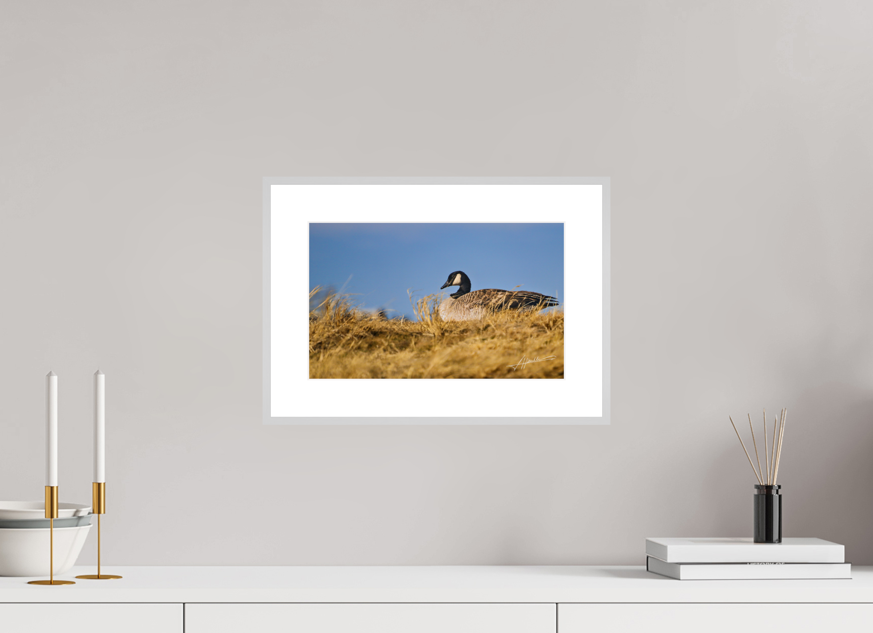 13 x 8″, Changeable Magnetic Frame The Nesting Goose