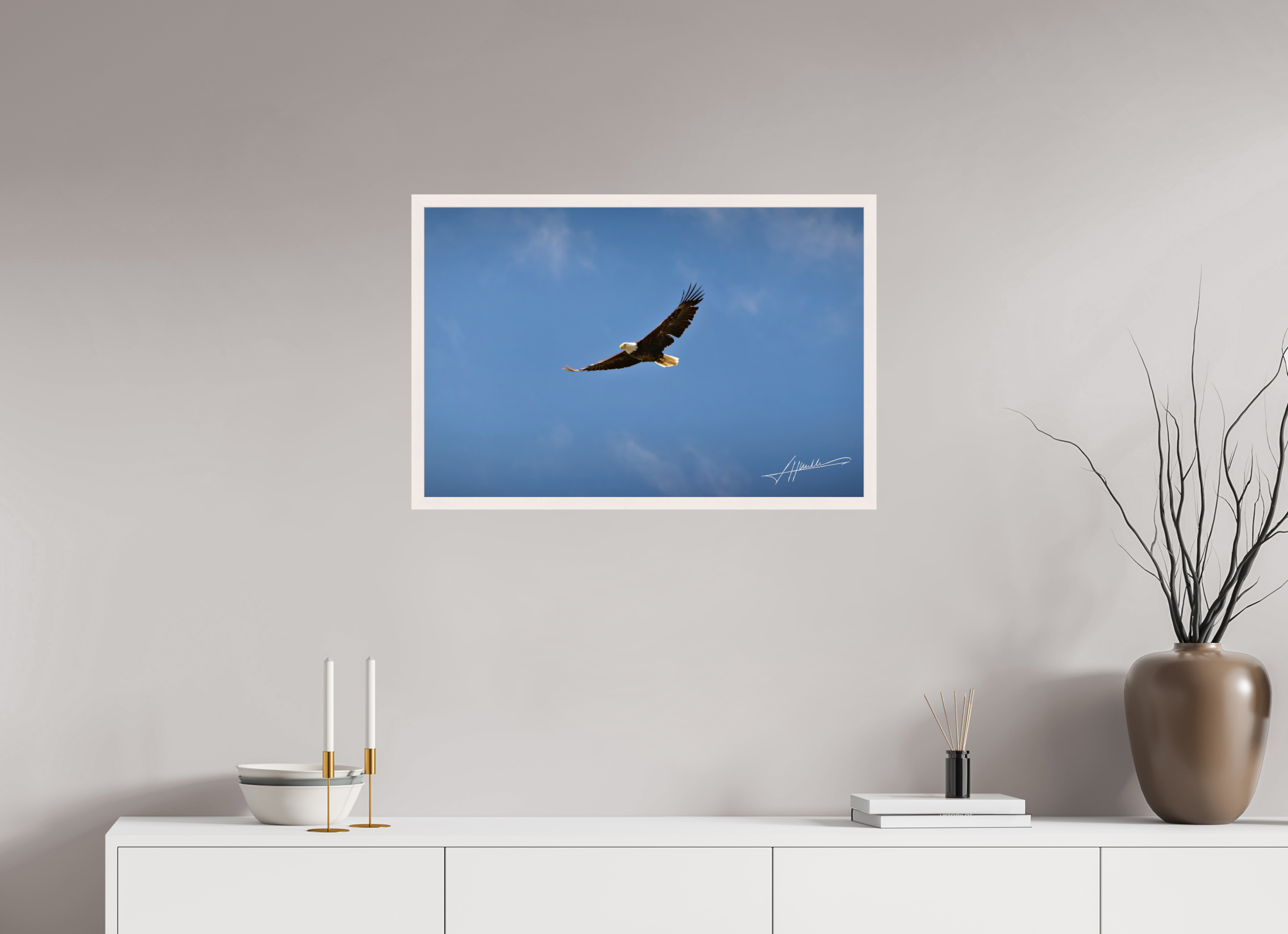 30 x 20″, Gallery Frame Soaring Free