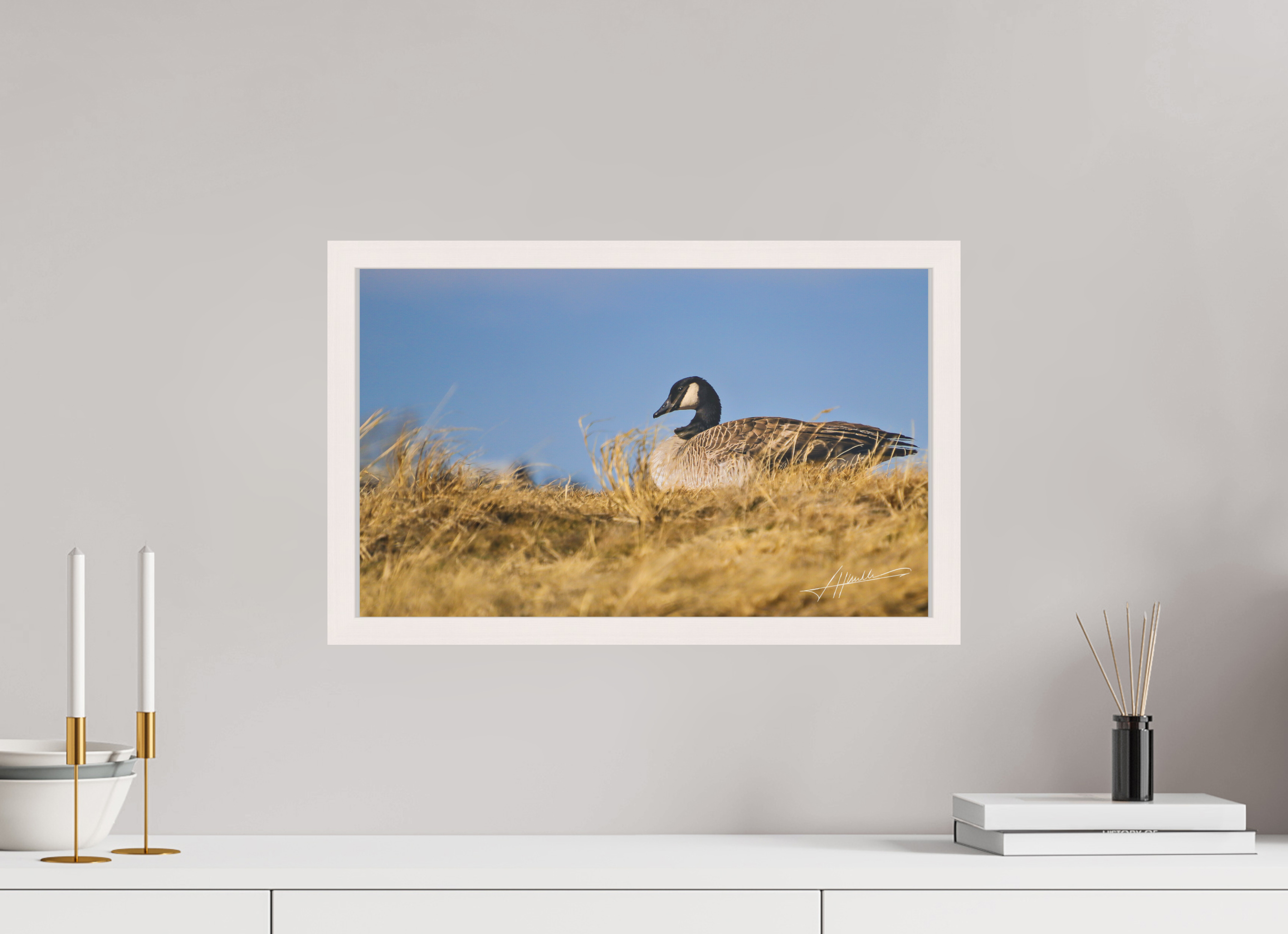 19.4 x 12″, Shadow Box Frame The Nesting Goose